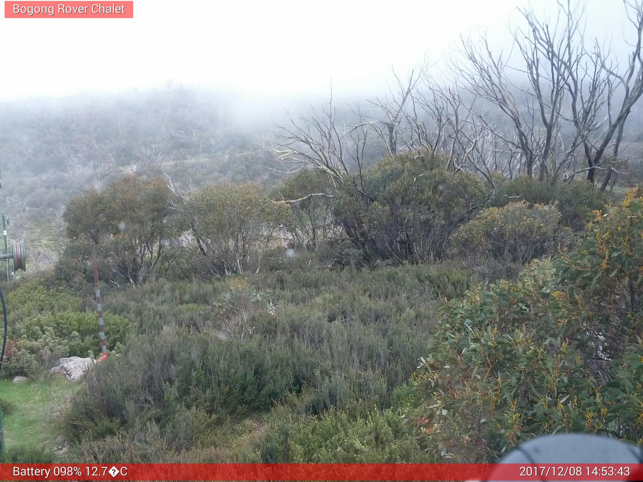 Bogong Web Cam 2:53pm Friday 8th of December 2017