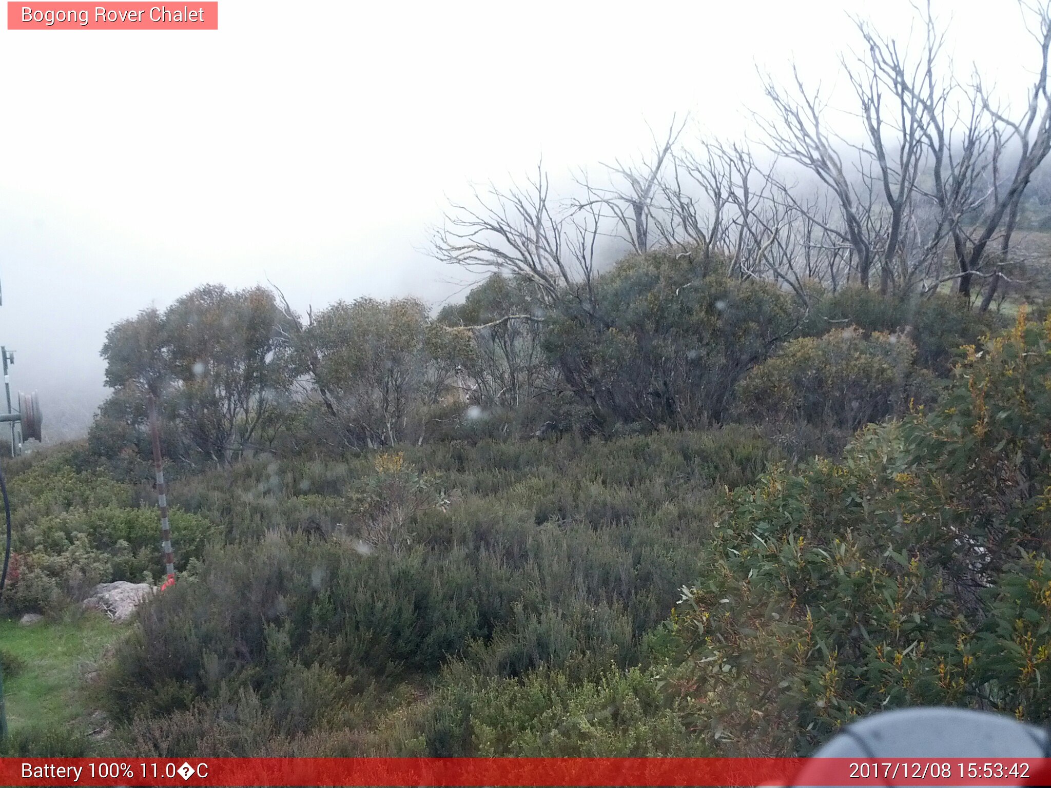 Bogong Web Cam 3:53pm Friday 8th of December 2017