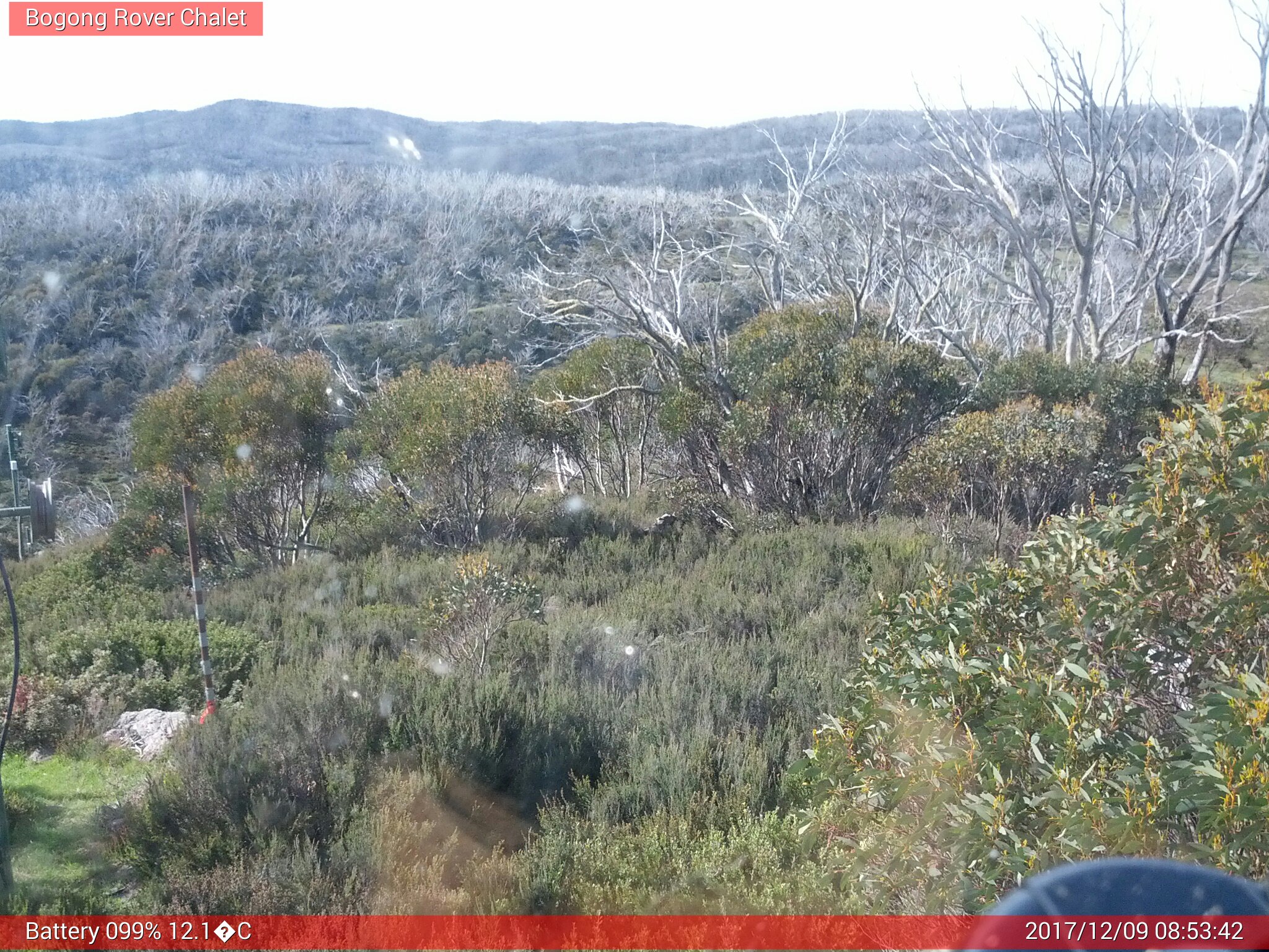 Bogong Web Cam 8:53am Saturday 9th of December 2017