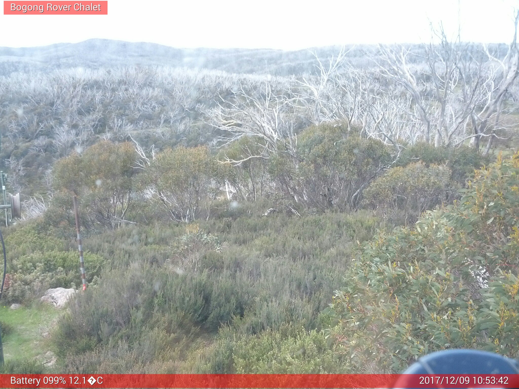 Bogong Web Cam 10:53am Saturday 9th of December 2017