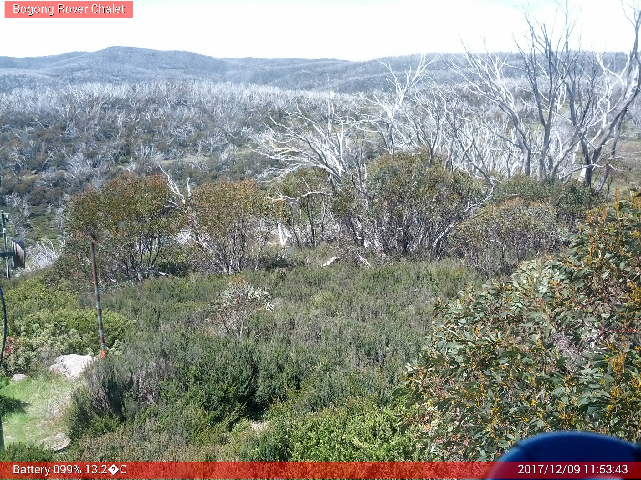 Bogong Web Cam 11:53am Saturday 9th of December 2017