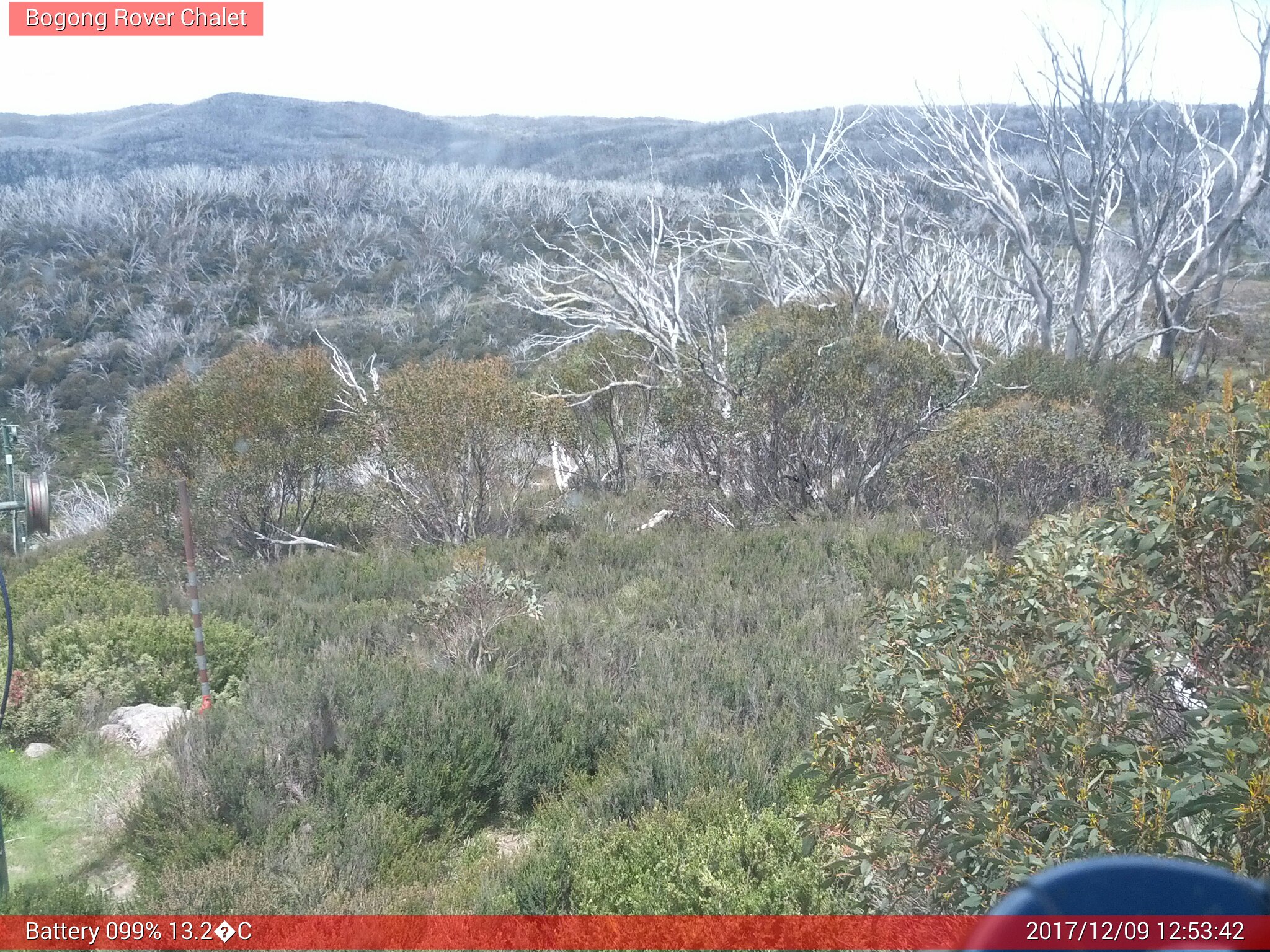 Bogong Web Cam 12:53pm Saturday 9th of December 2017