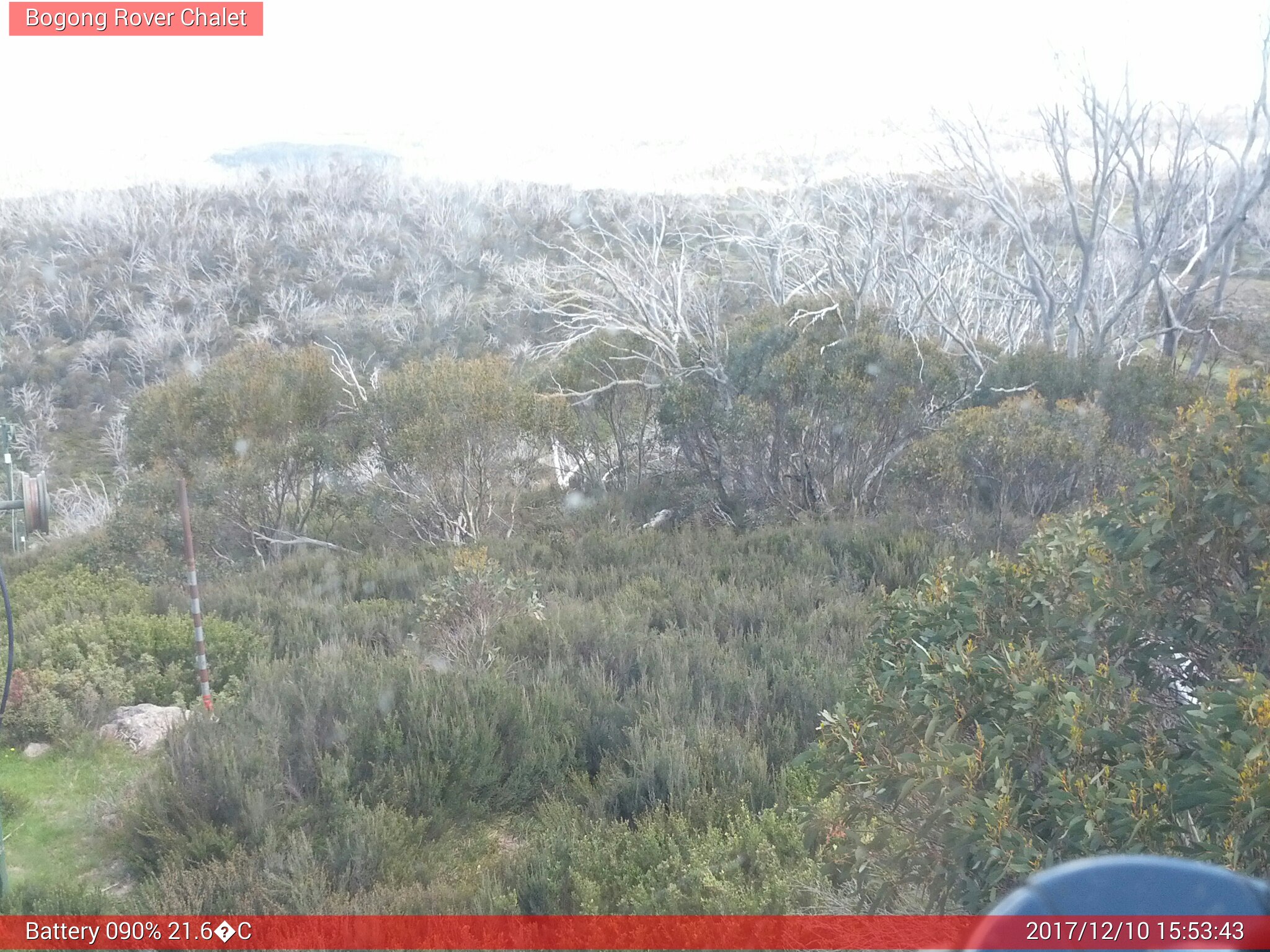 Bogong Web Cam 3:53pm Sunday 10th of December 2017