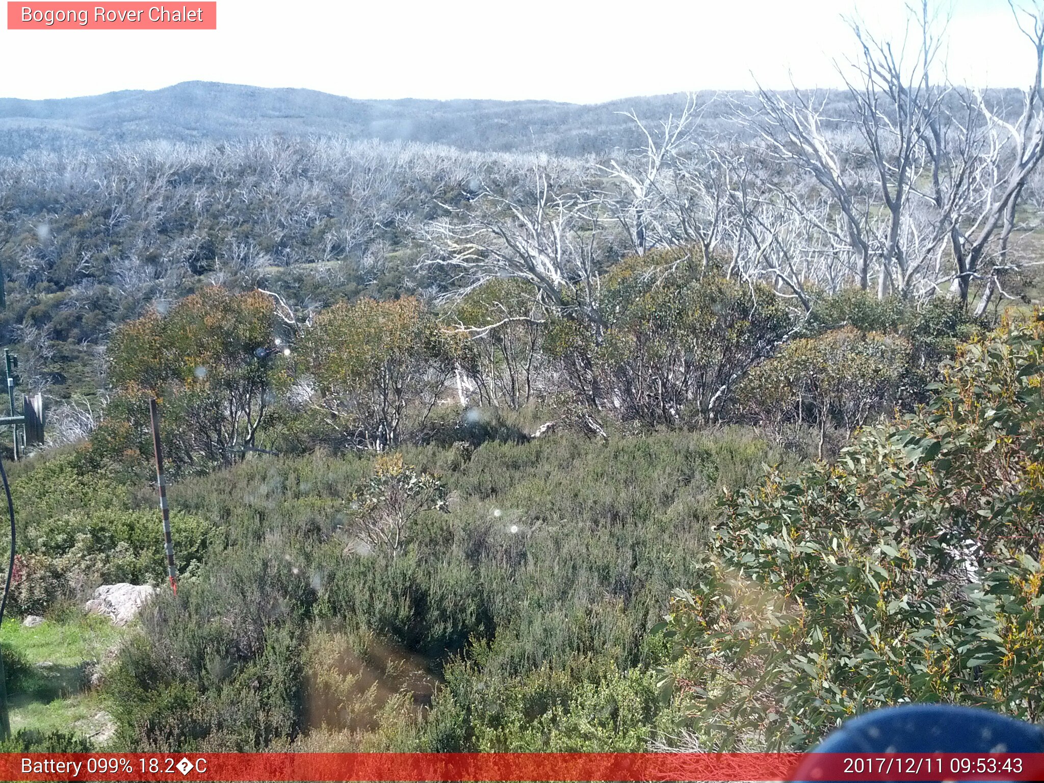 Bogong Web Cam 9:53am Monday 11th of December 2017