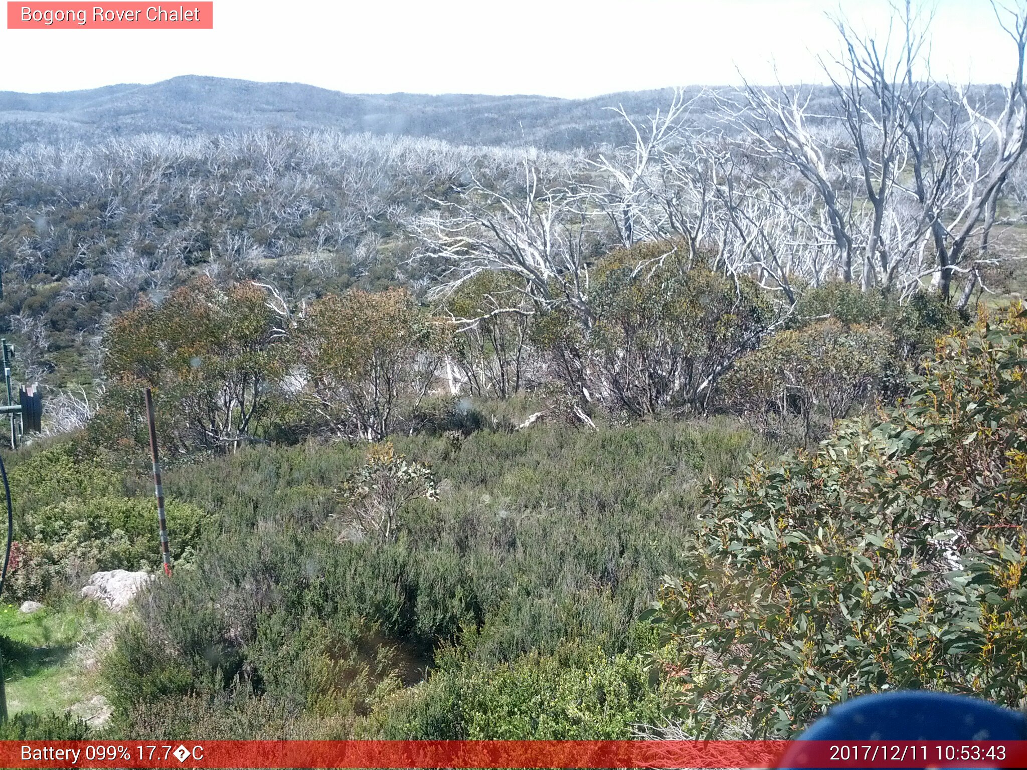 Bogong Web Cam 10:53am Monday 11th of December 2017