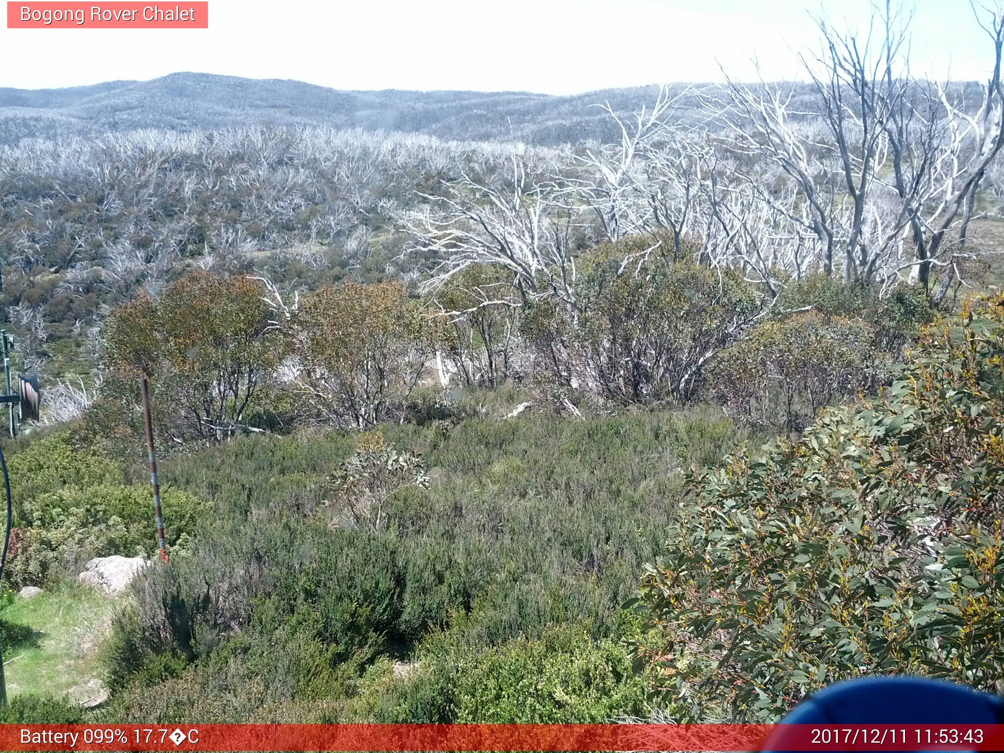 Bogong Web Cam 11:53am Monday 11th of December 2017