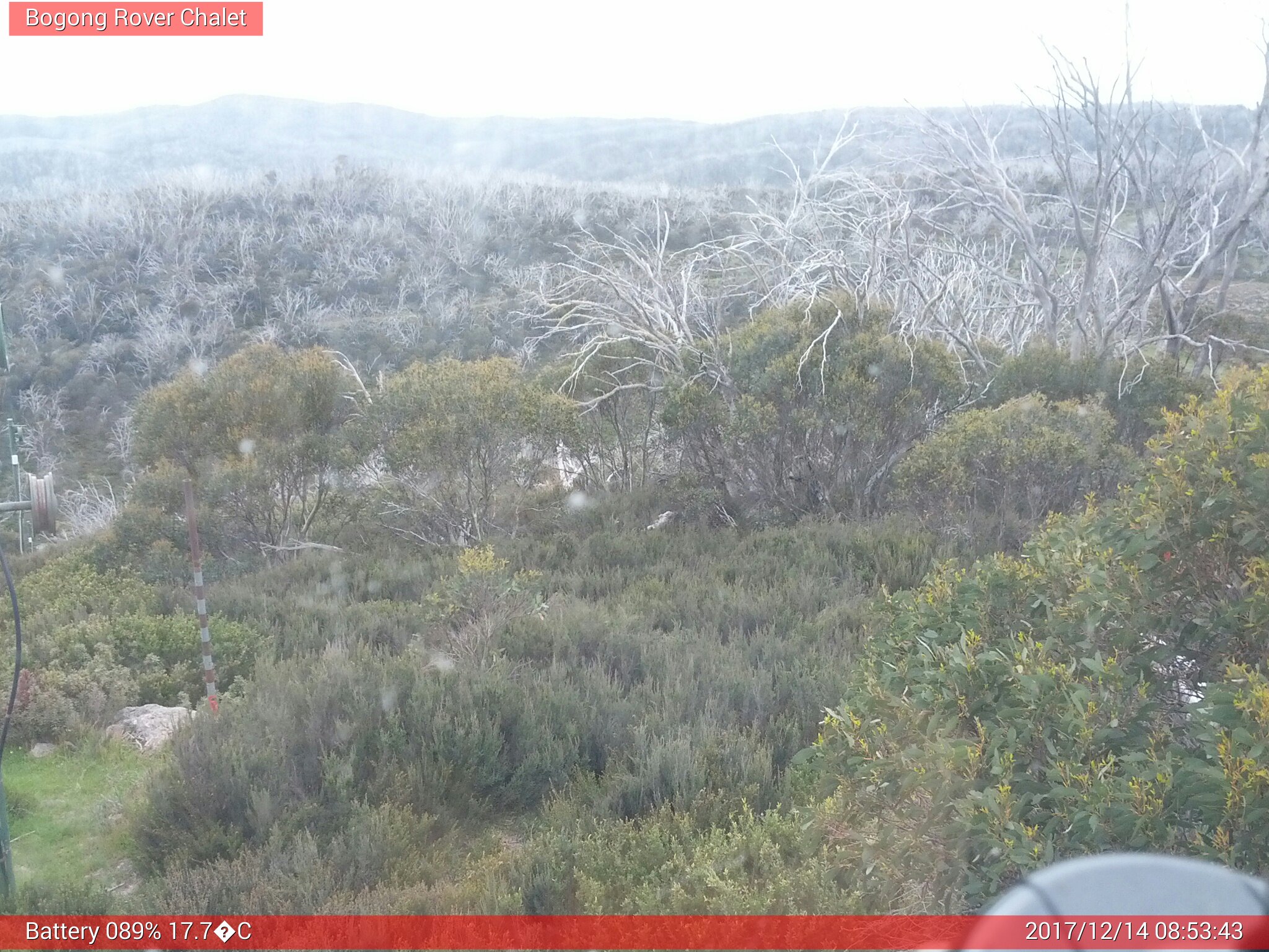 Bogong Web Cam 8:53am Thursday 14th of December 2017