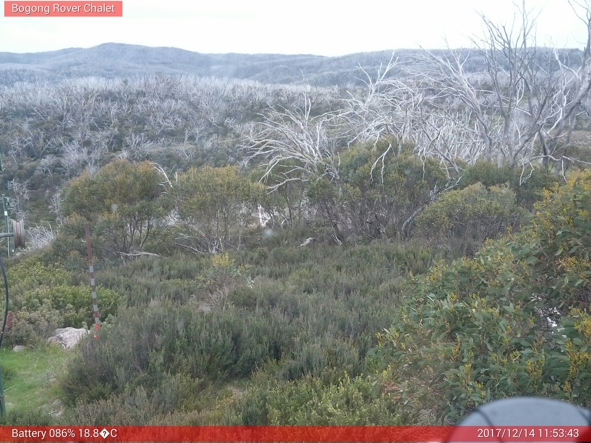 Bogong Web Cam 11:53am Thursday 14th of December 2017