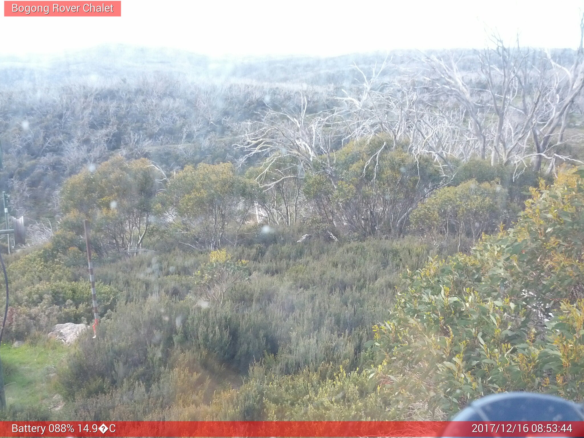 Bogong Web Cam 8:53am Saturday 16th of December 2017