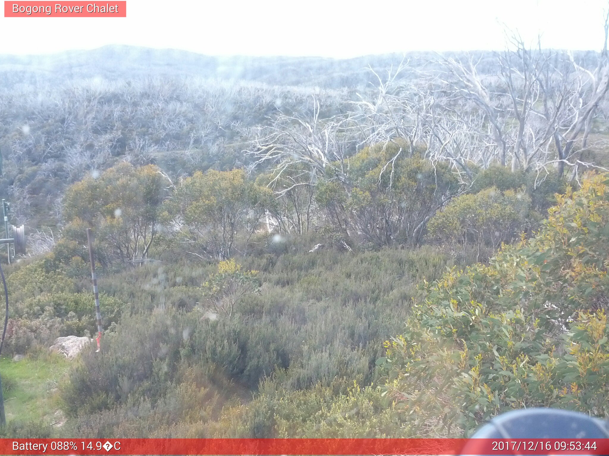 Bogong Web Cam 9:53am Saturday 16th of December 2017