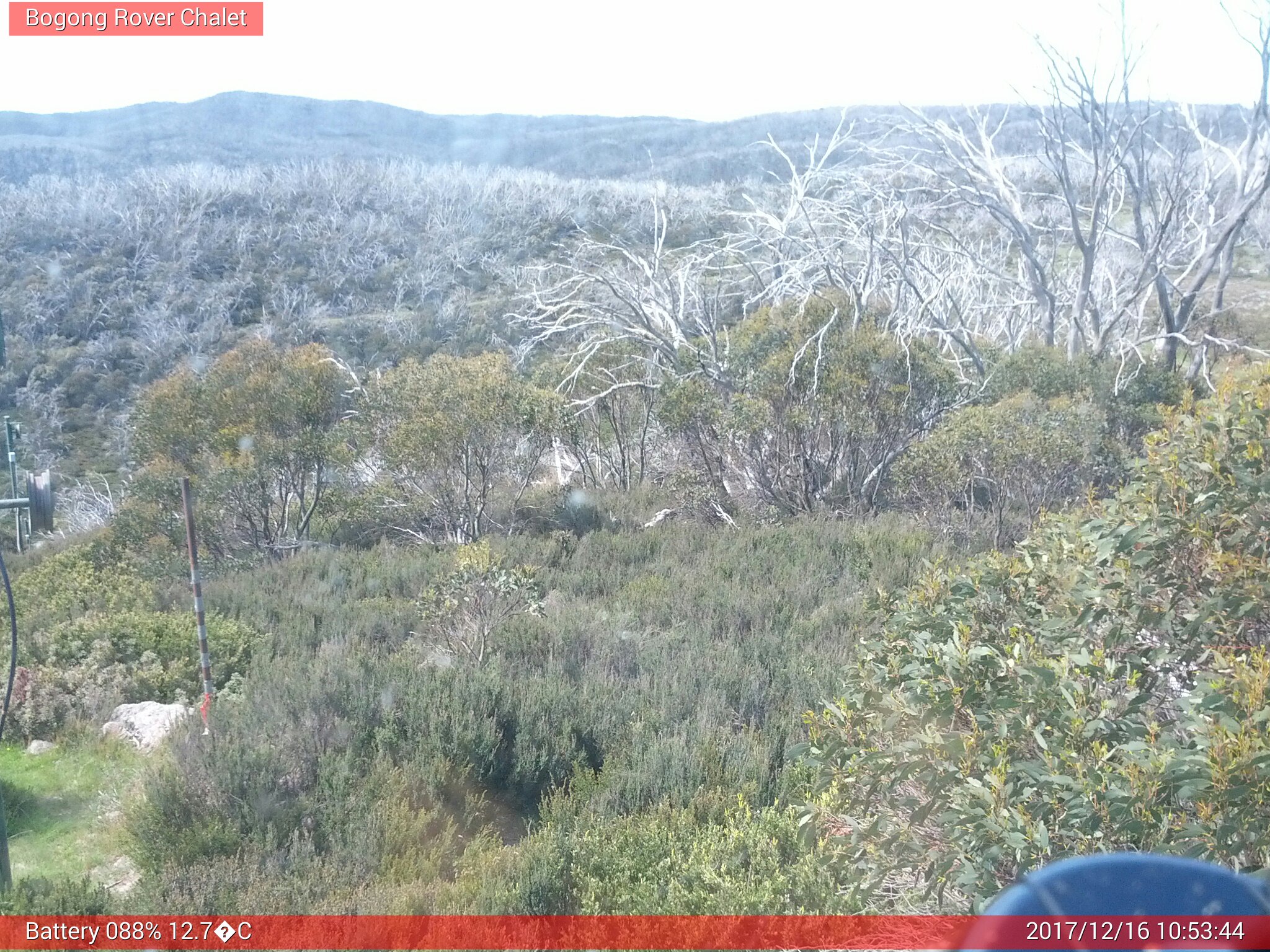 Bogong Web Cam 10:53am Saturday 16th of December 2017