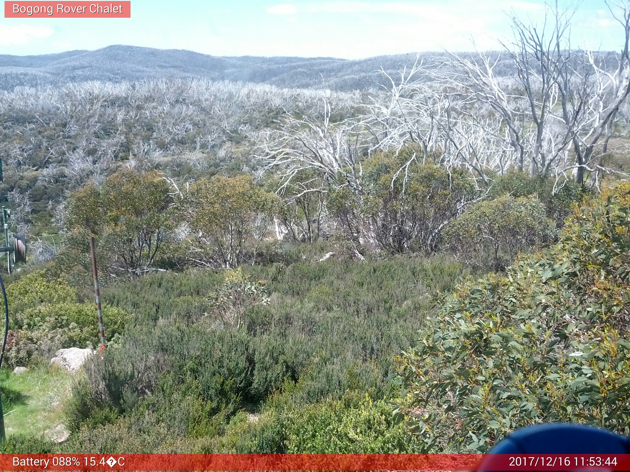 Bogong Web Cam 11:53am Saturday 16th of December 2017