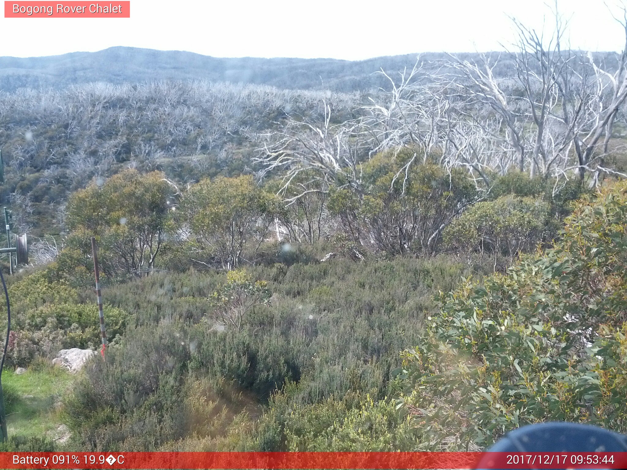 Bogong Web Cam 9:53am Sunday 17th of December 2017