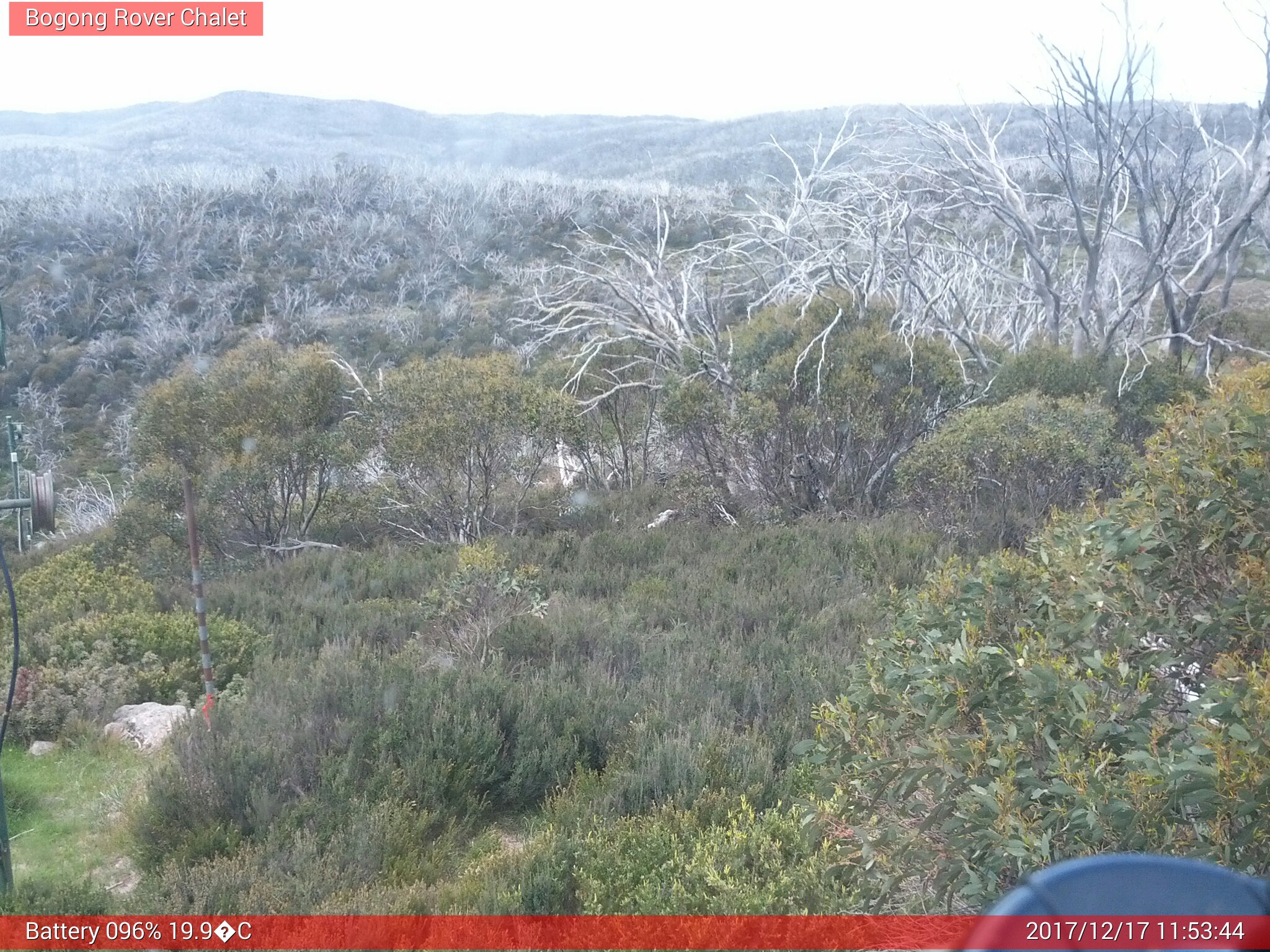 Bogong Web Cam 11:53am Sunday 17th of December 2017