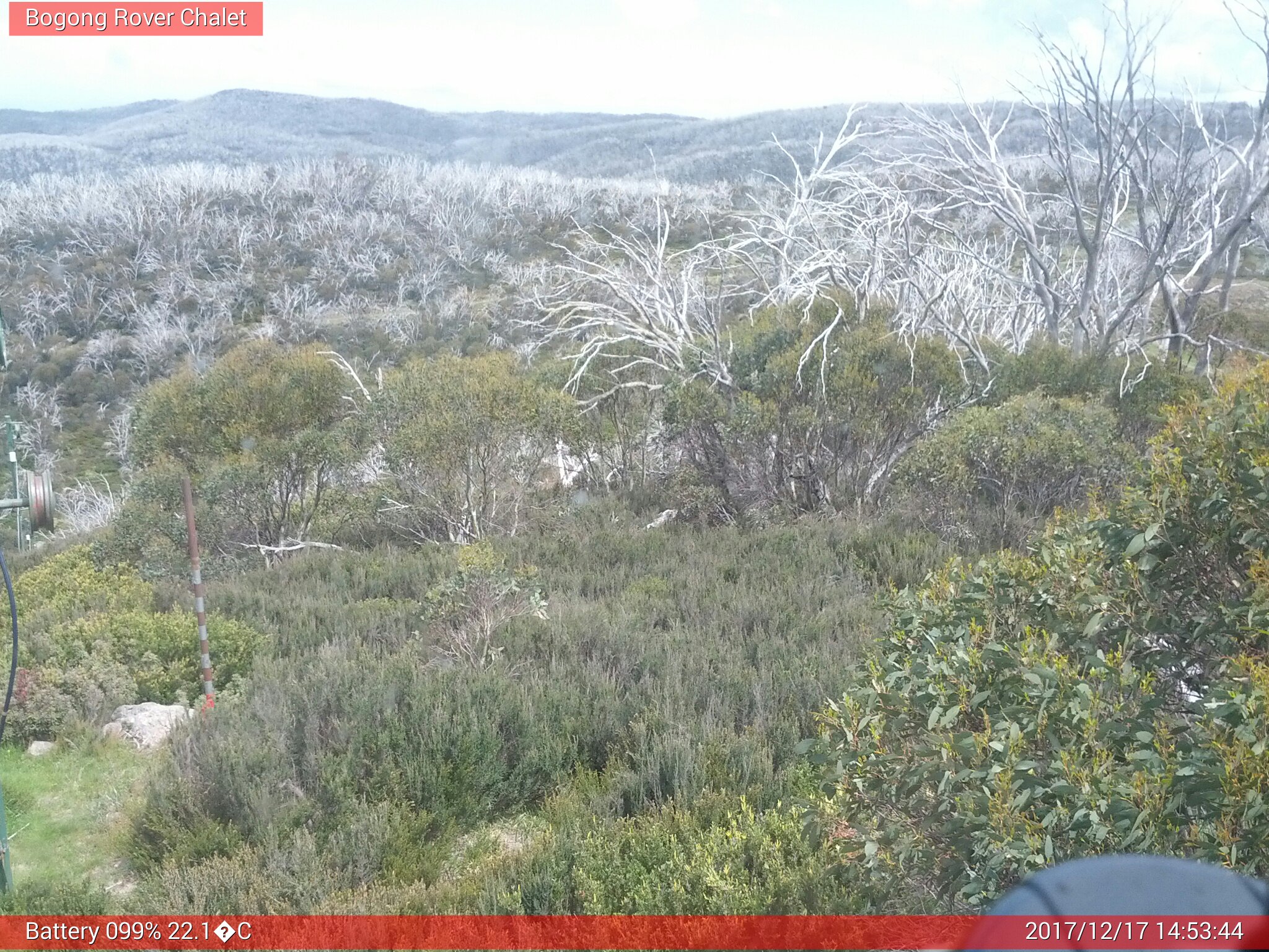 Bogong Web Cam 2:53pm Sunday 17th of December 2017