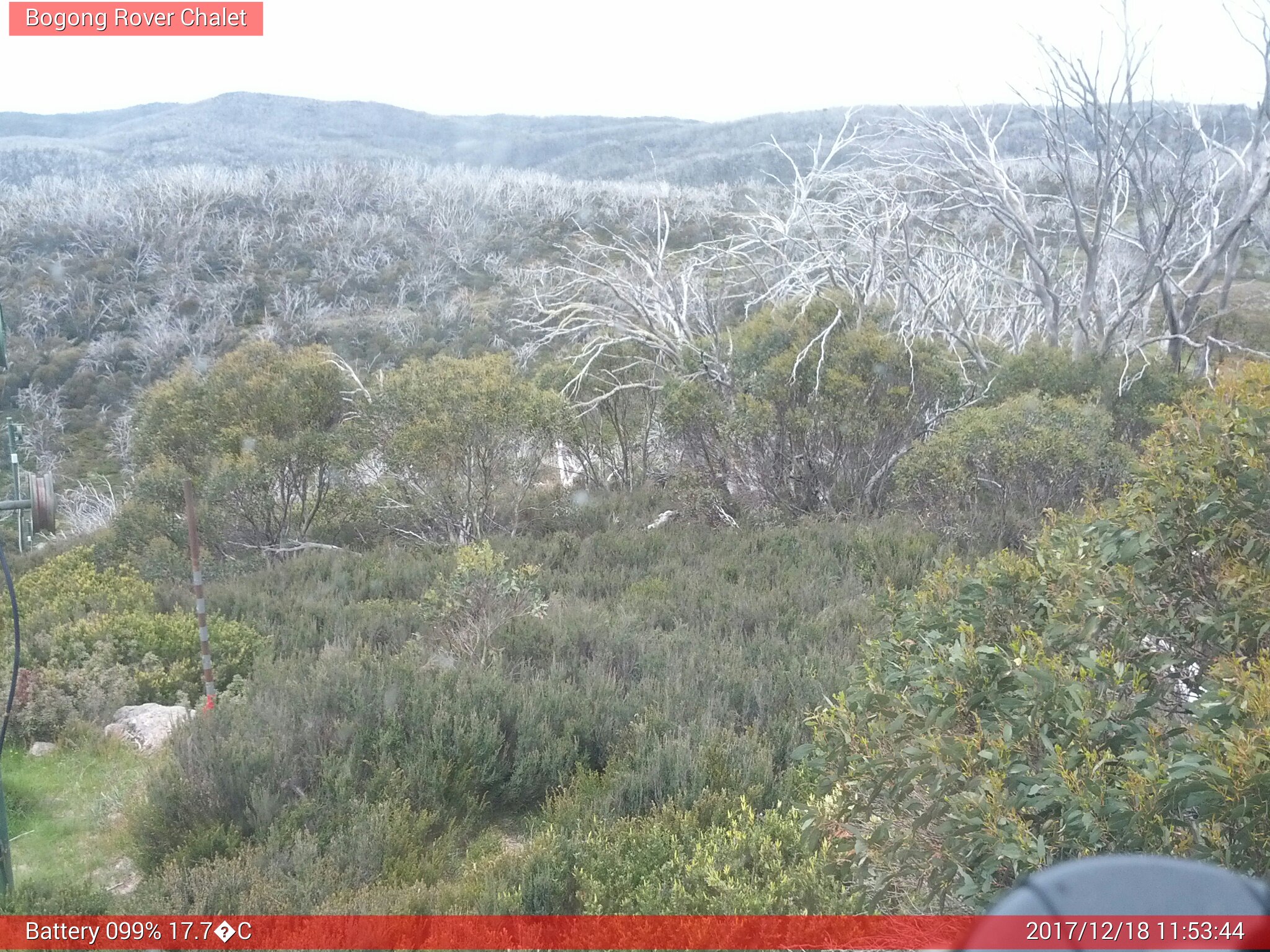 Bogong Web Cam 11:53am Monday 18th of December 2017