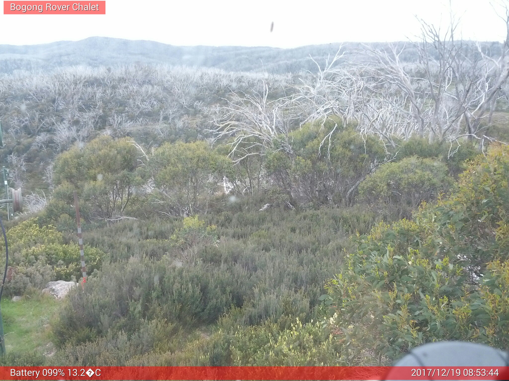 Bogong Web Cam 8:53am Tuesday 19th of December 2017