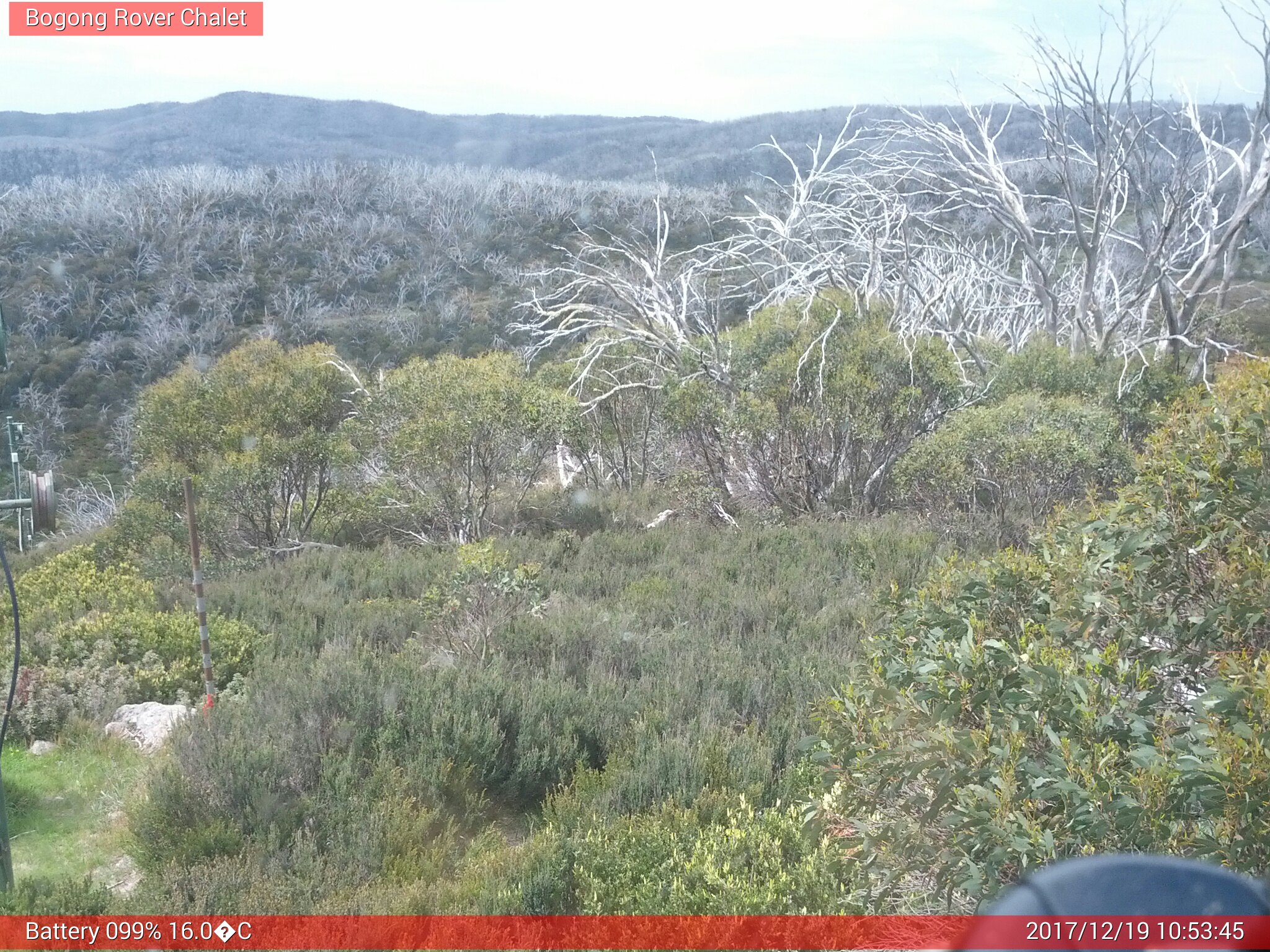 Bogong Web Cam 10:53am Tuesday 19th of December 2017