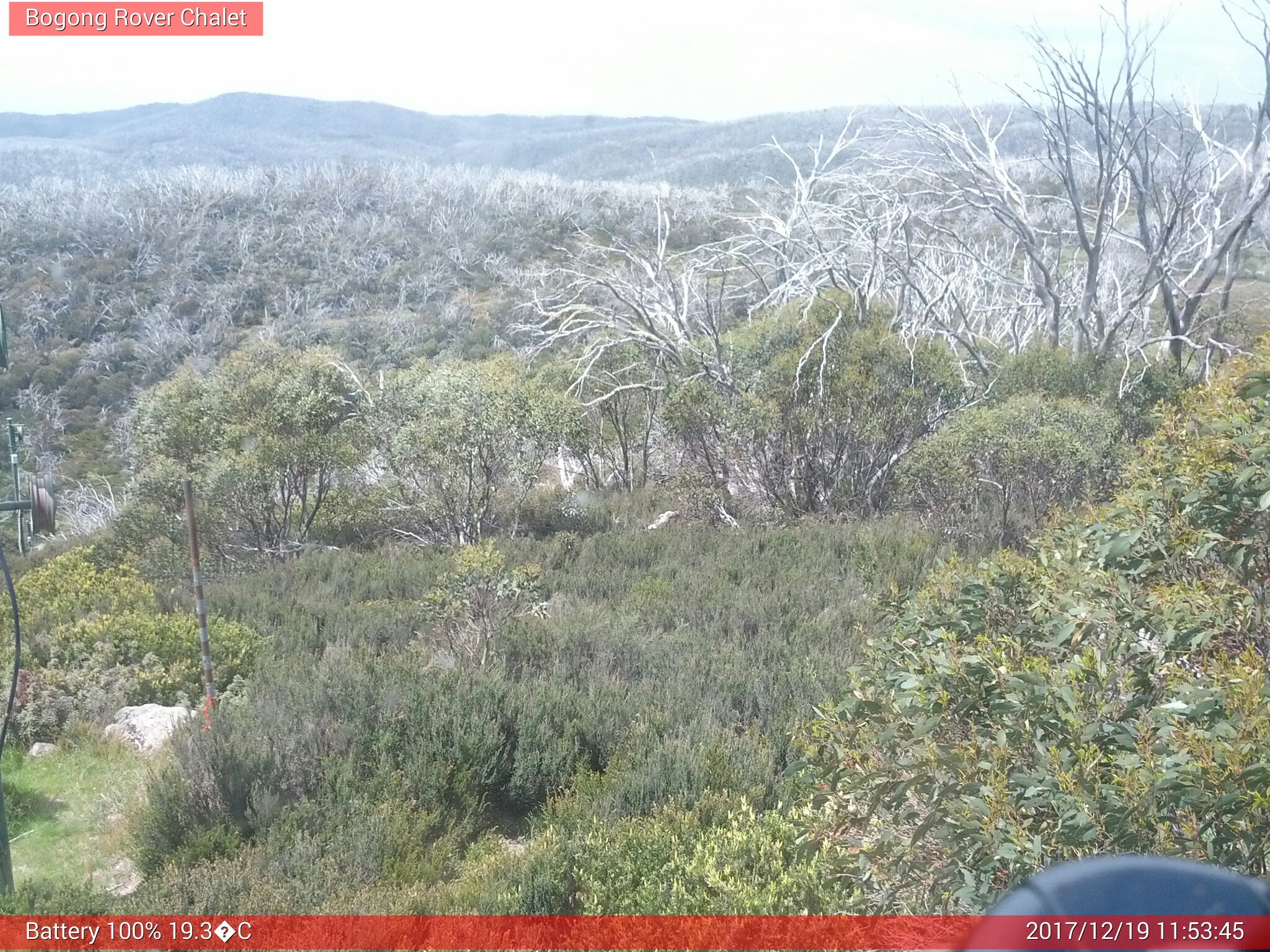 Bogong Web Cam 11:53am Tuesday 19th of December 2017