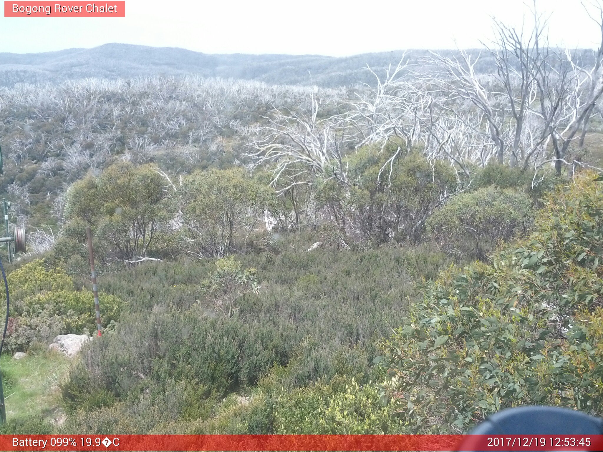 Bogong Web Cam 12:53pm Tuesday 19th of December 2017