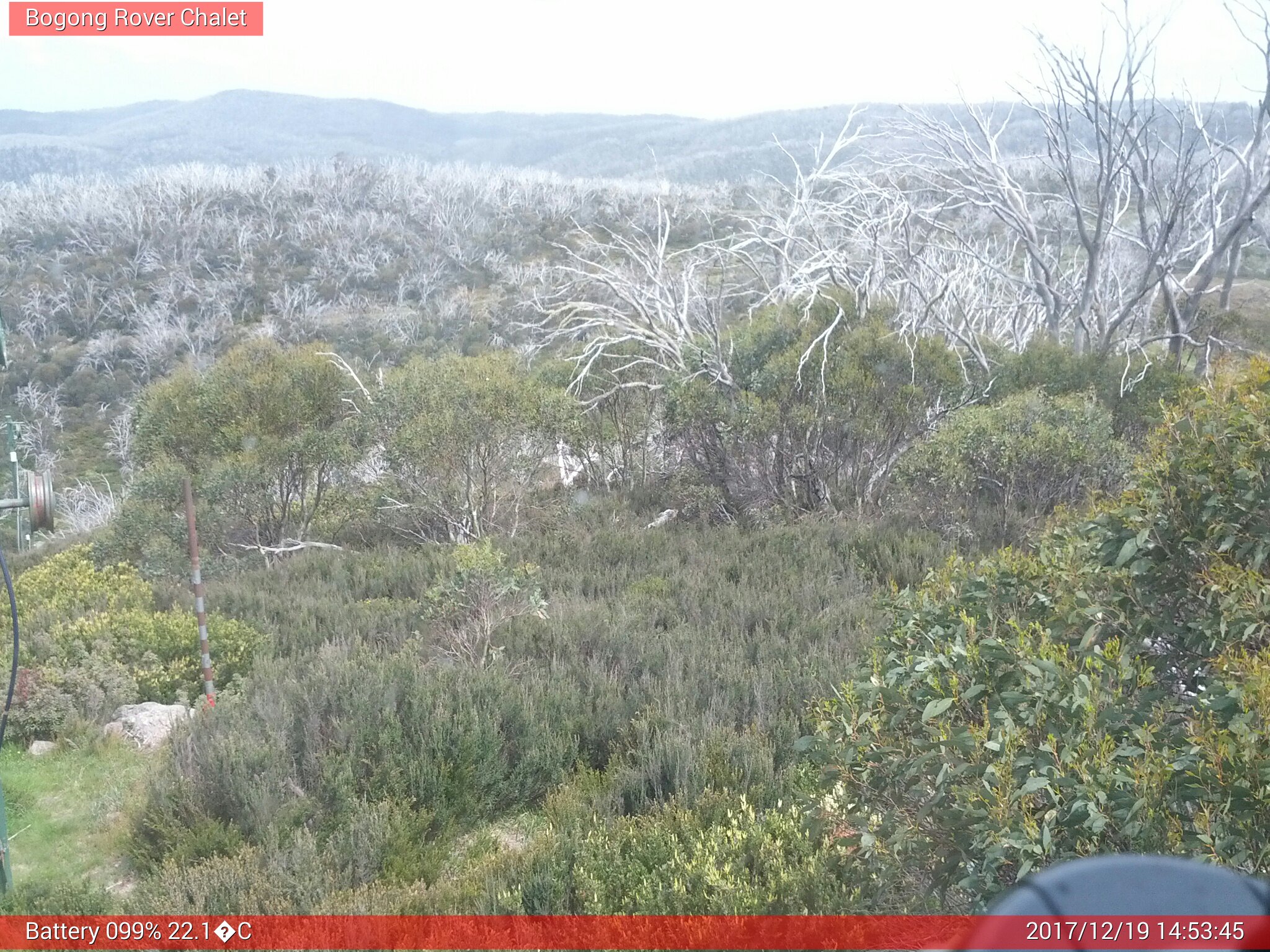 Bogong Web Cam 2:53pm Tuesday 19th of December 2017