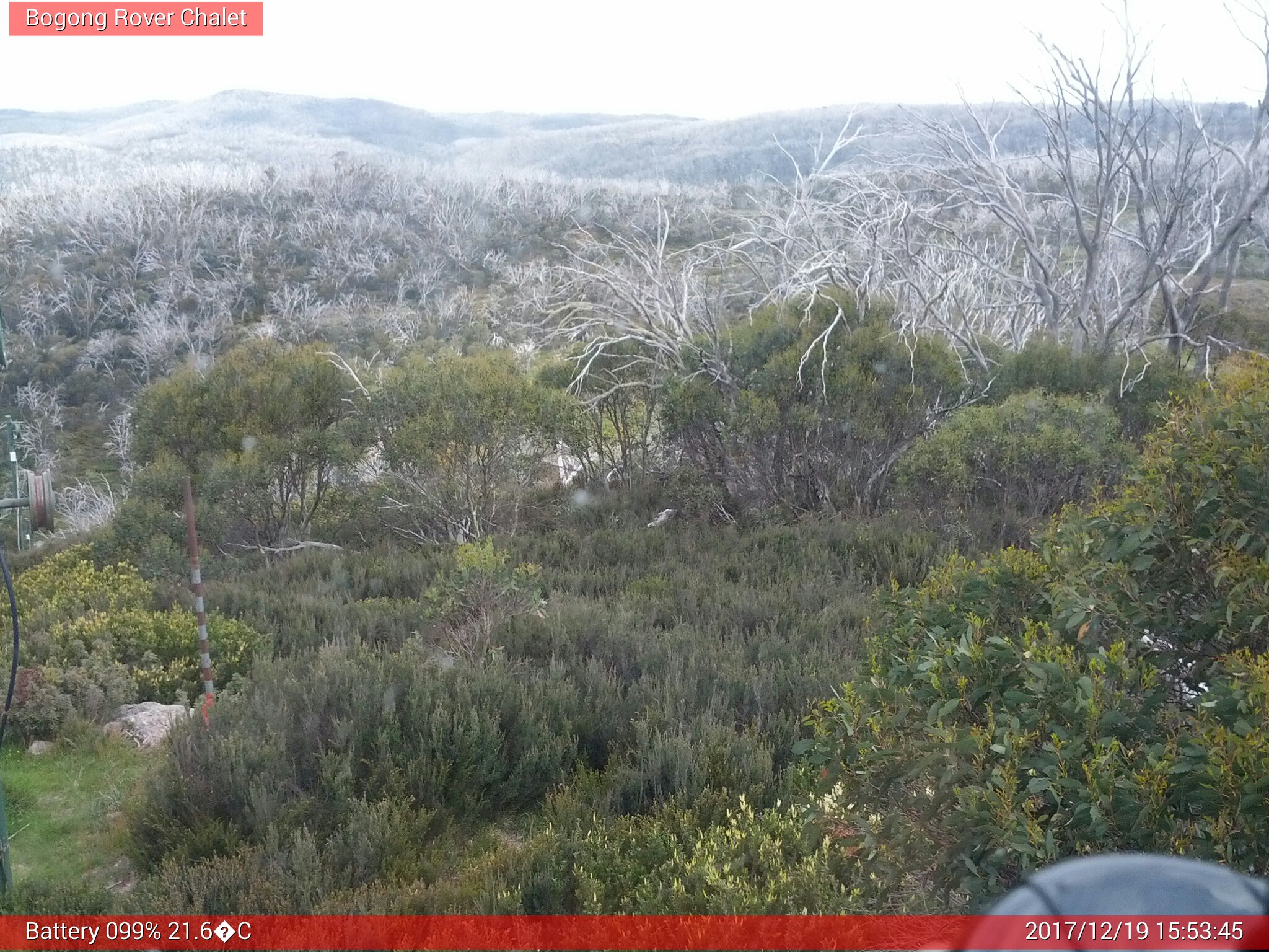 Bogong Web Cam 3:53pm Tuesday 19th of December 2017