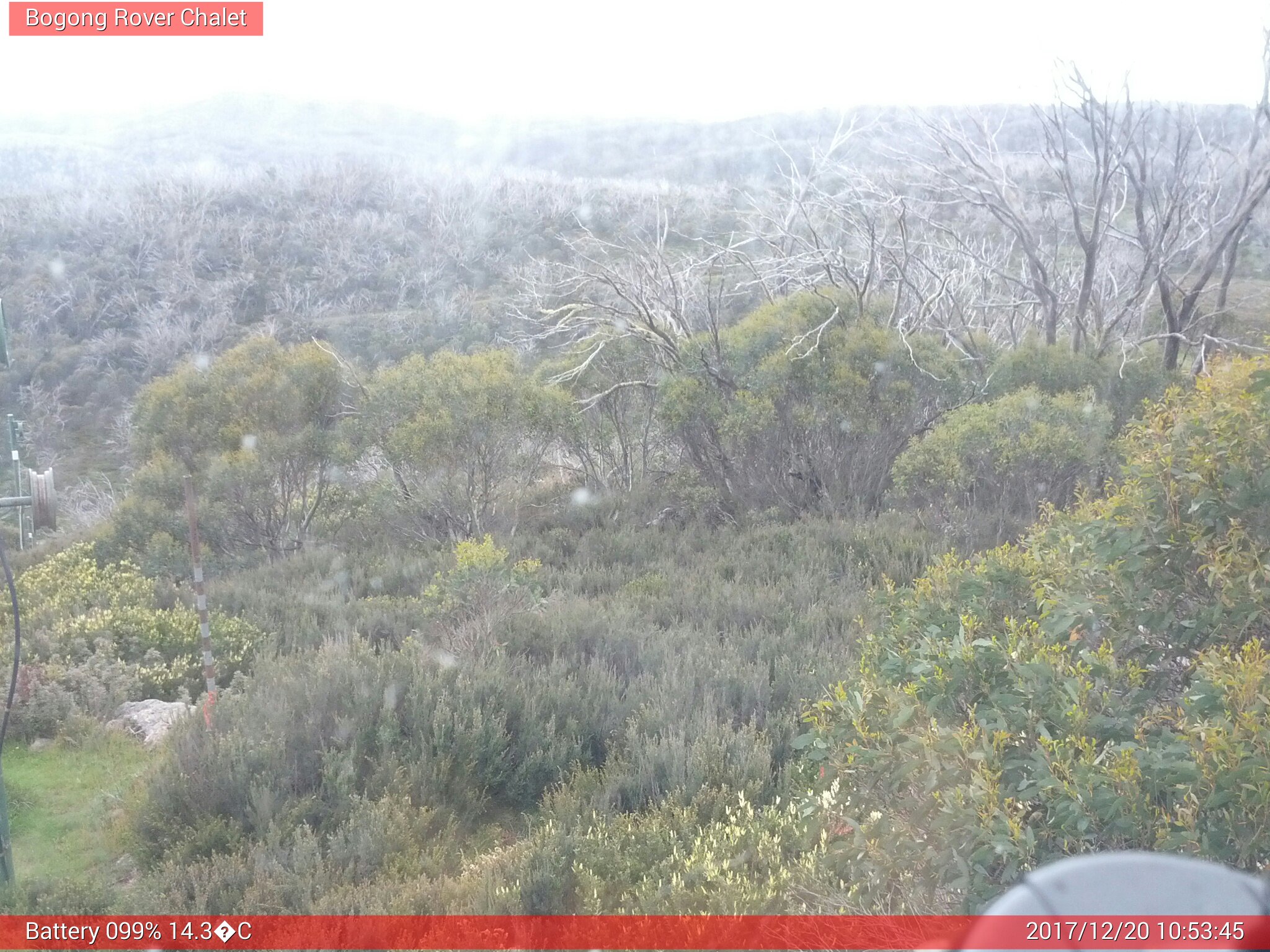 Bogong Web Cam 10:53am Wednesday 20th of December 2017