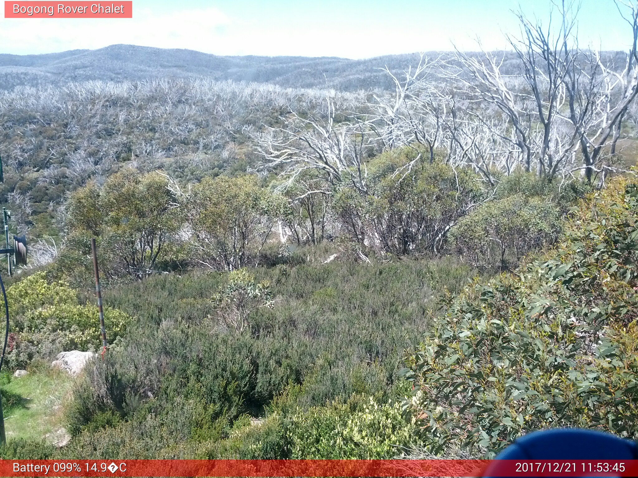 Bogong Web Cam 11:53am Thursday 21st of December 2017