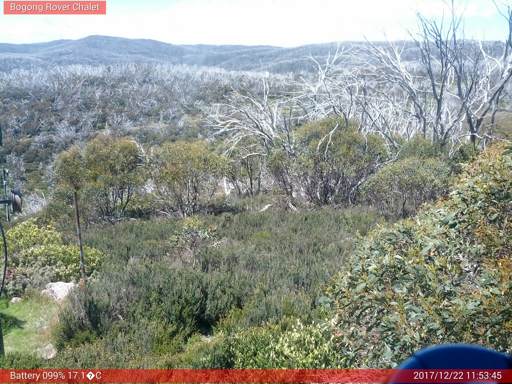 Bogong Web Cam 11:53am Friday 22nd of December 2017