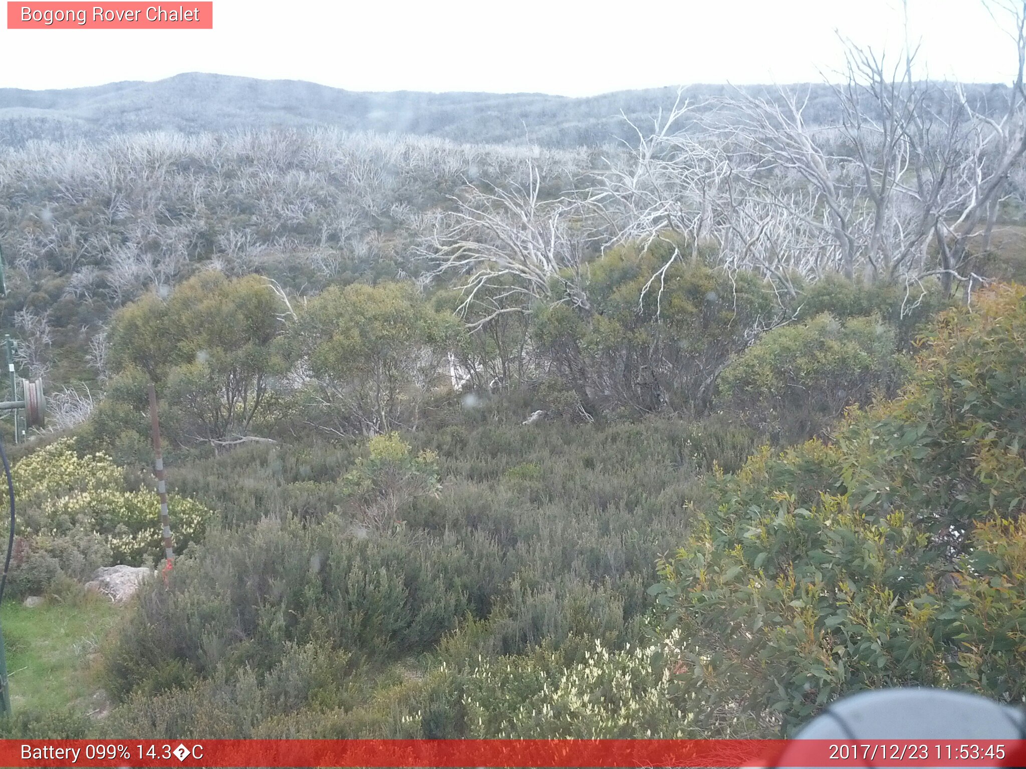 Bogong Web Cam 11:53am Saturday 23rd of December 2017