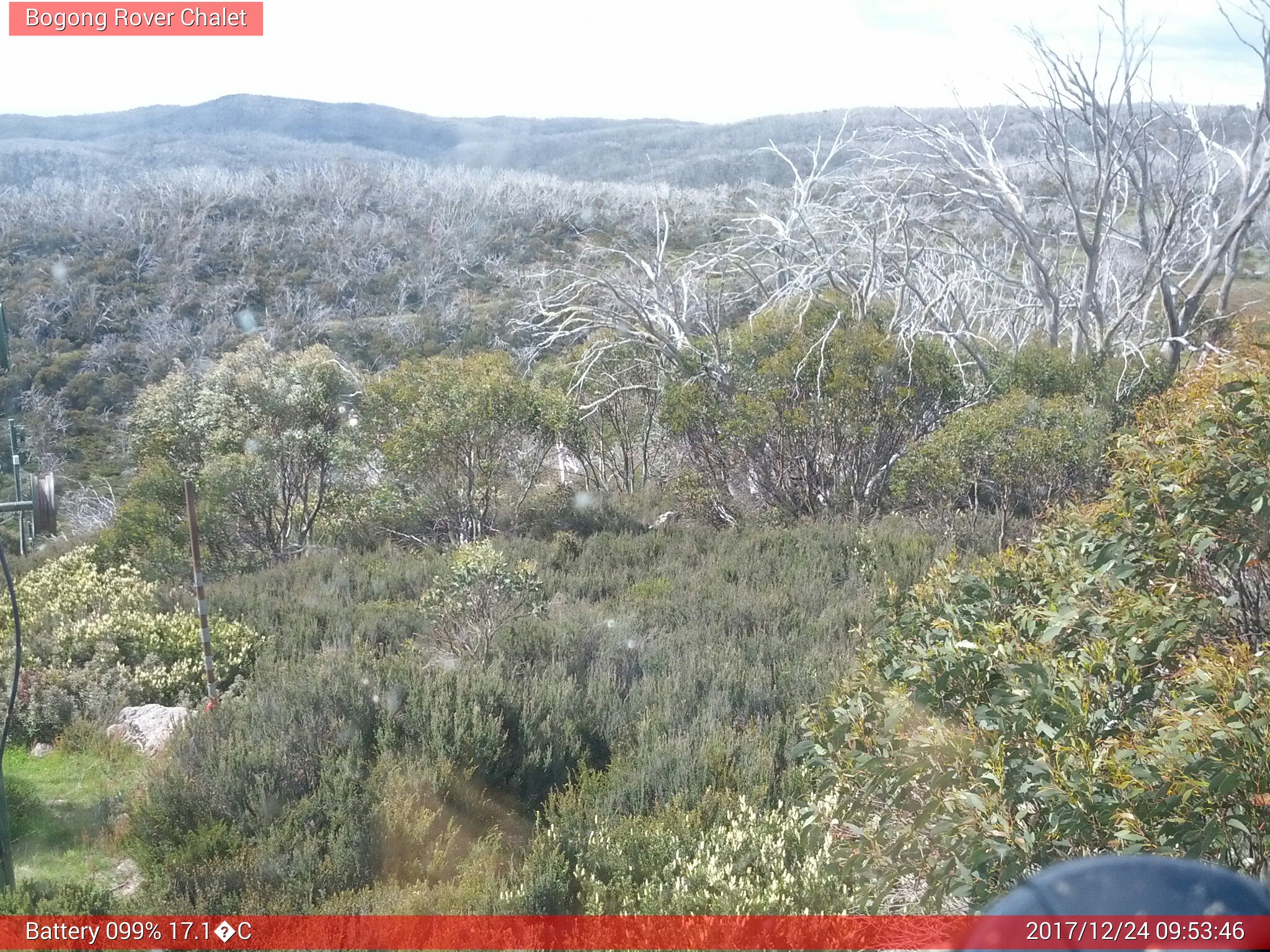 Bogong Web Cam 9:53am Sunday 24th of December 2017