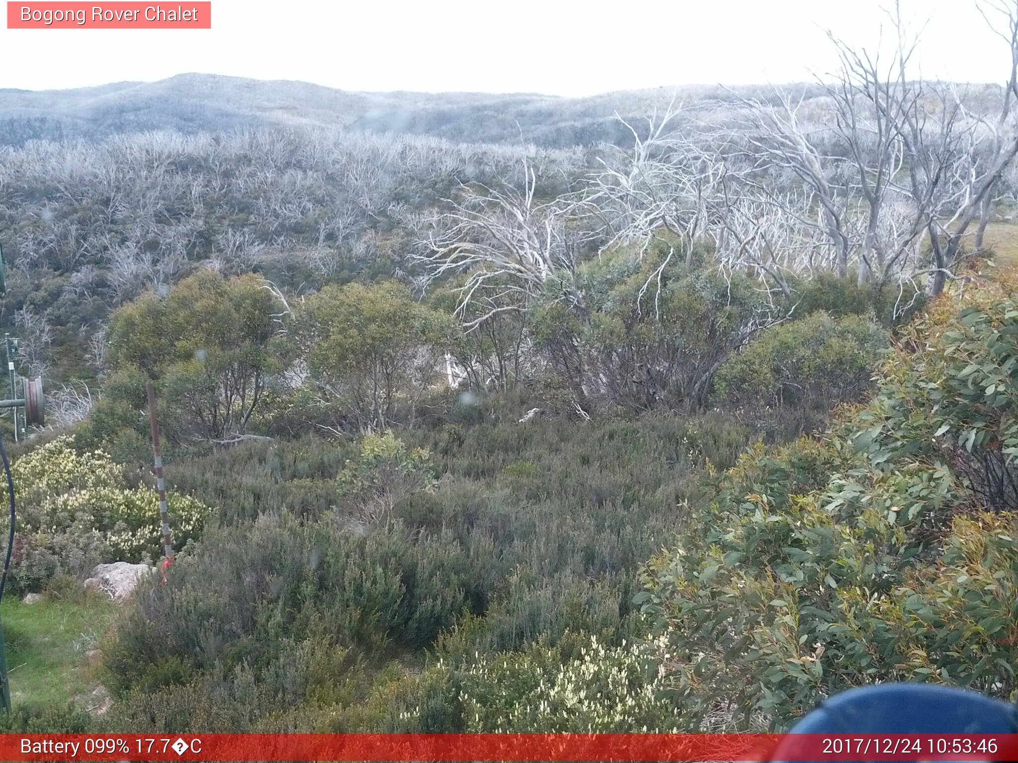 Bogong Web Cam 10:53am Sunday 24th of December 2017