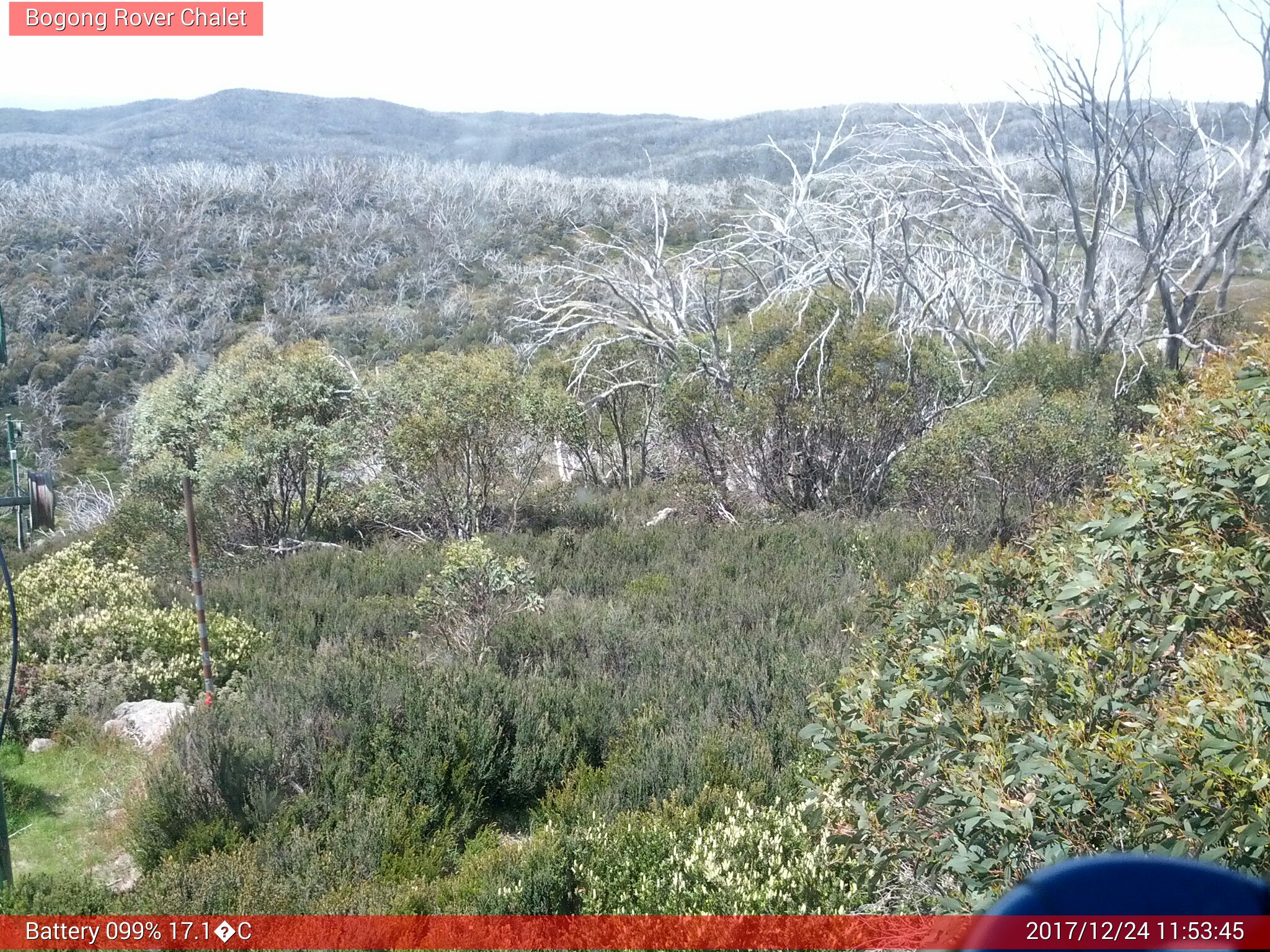 Bogong Web Cam 11:53am Sunday 24th of December 2017