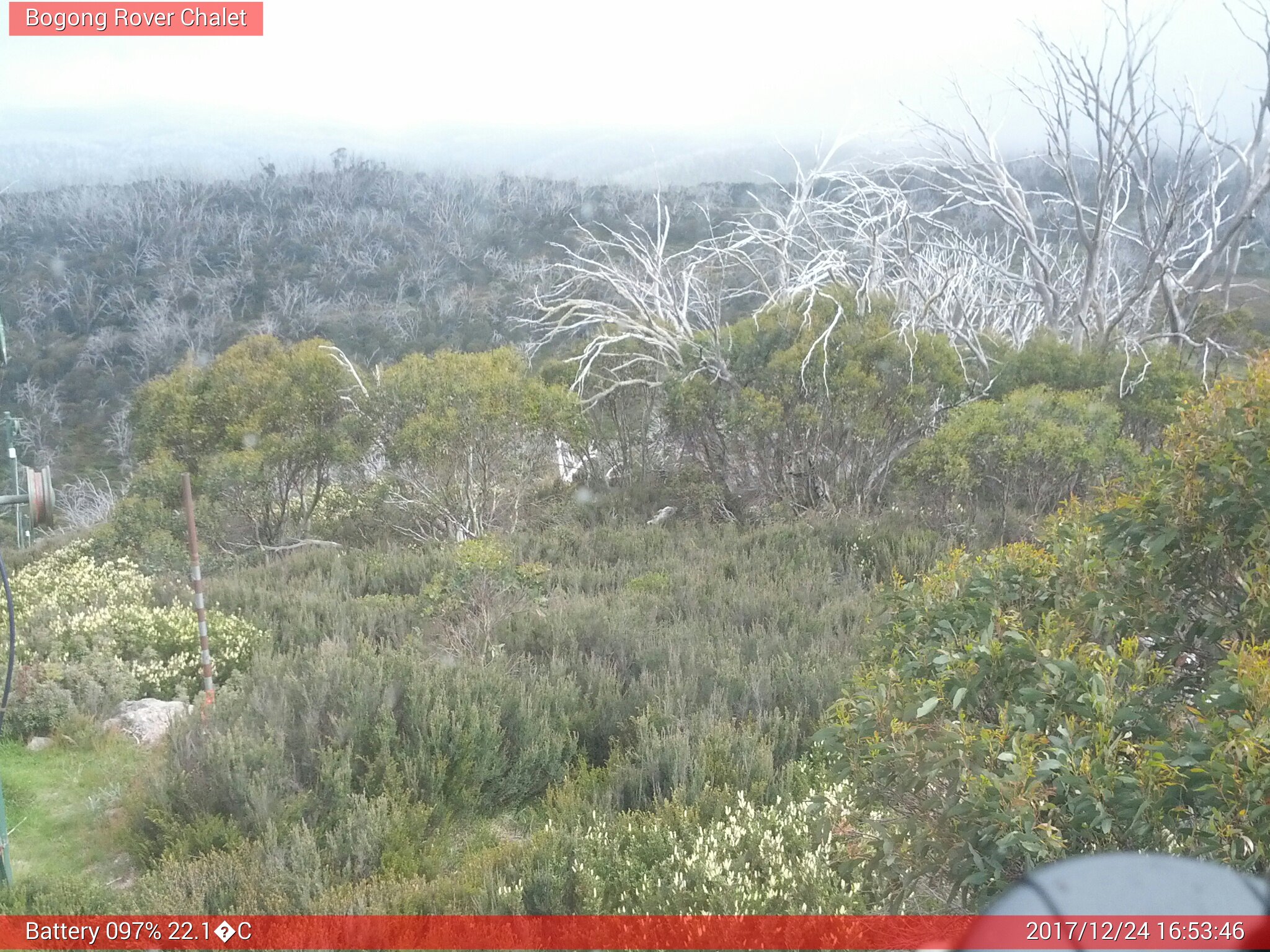 Bogong Web Cam 4:53pm Sunday 24th of December 2017