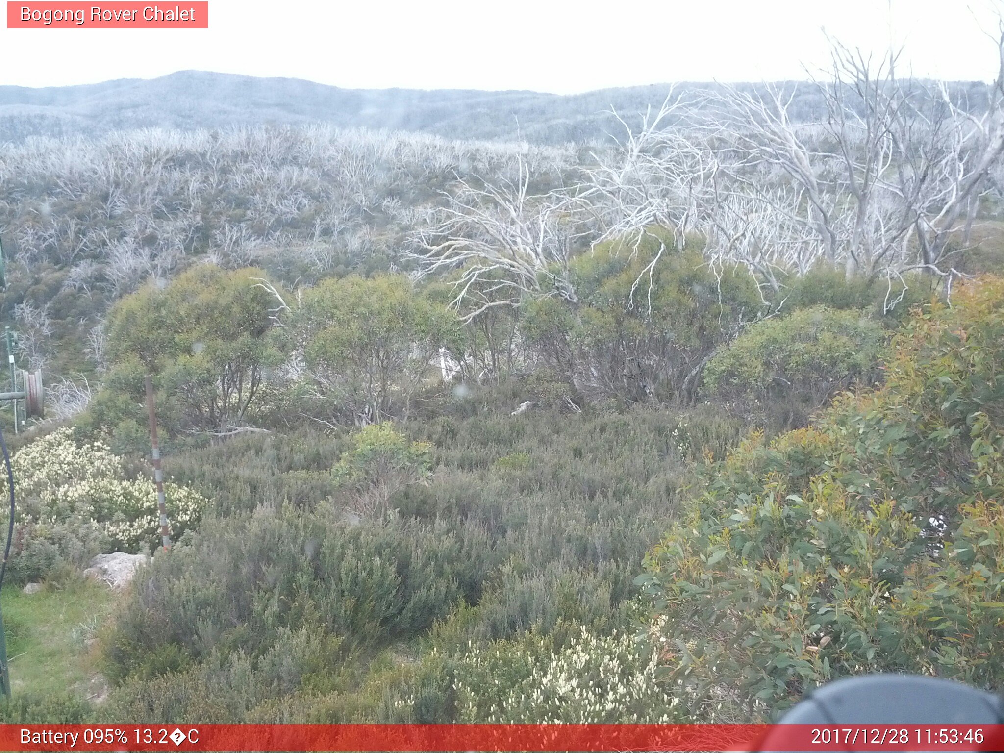 Bogong Web Cam 11:53am Thursday 28th of December 2017