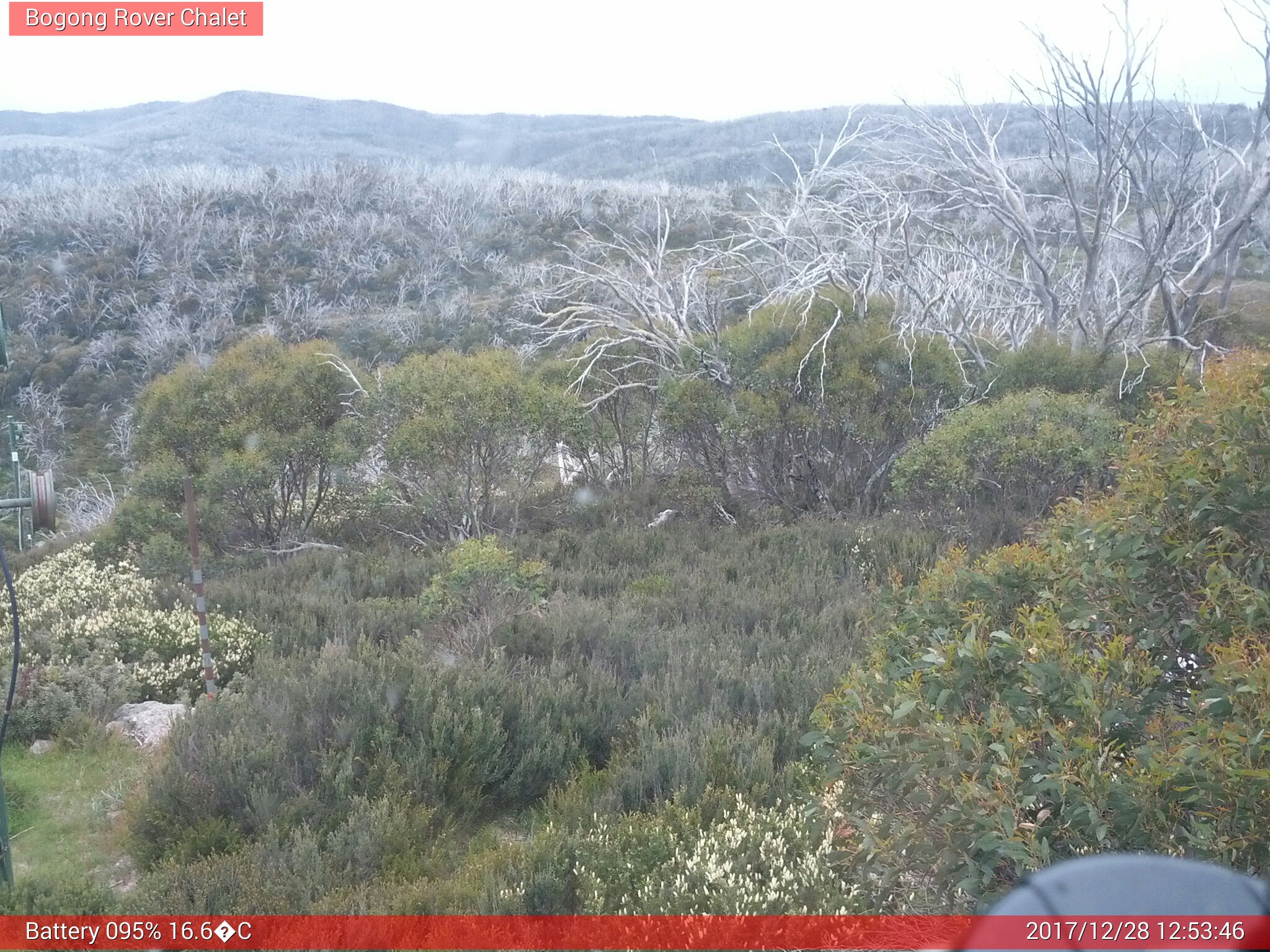 Bogong Web Cam 12:53pm Thursday 28th of December 2017