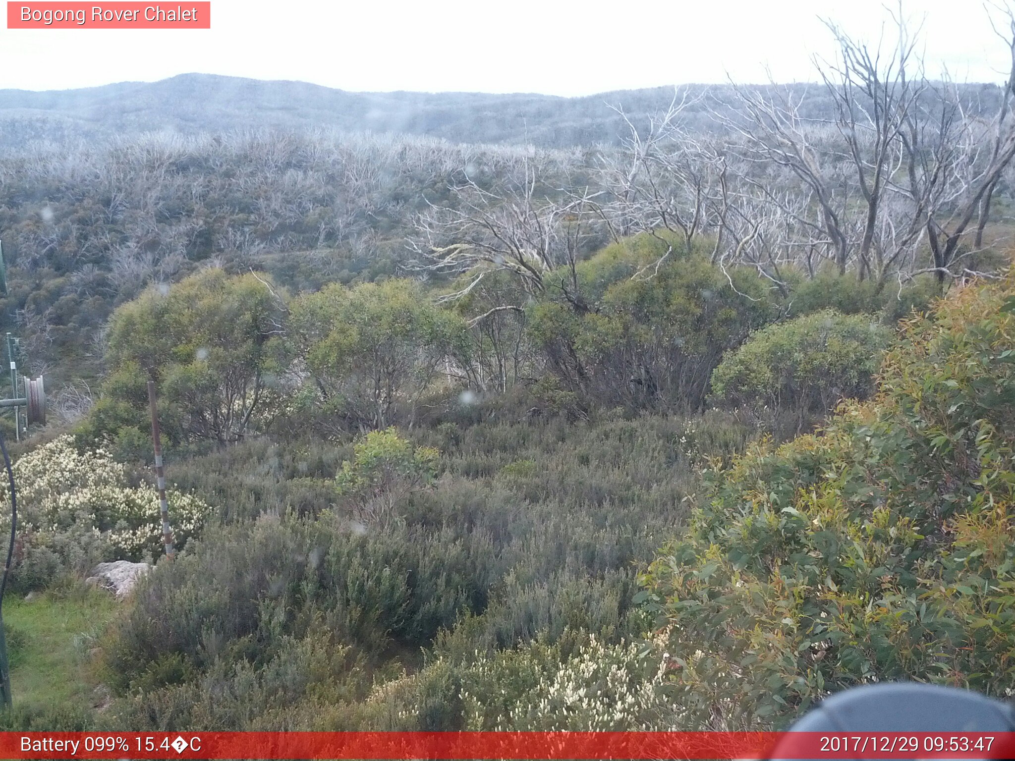 Bogong Web Cam 9:53am Friday 29th of December 2017