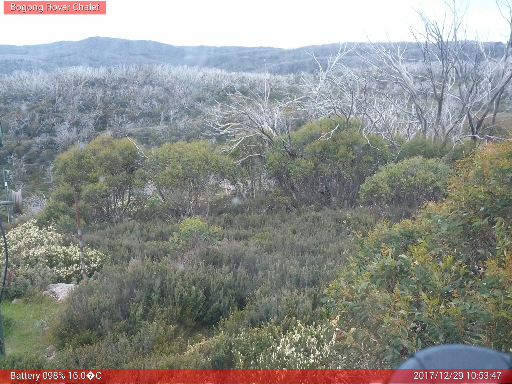 Bogong Web Cam 10:53am Friday 29th of December 2017