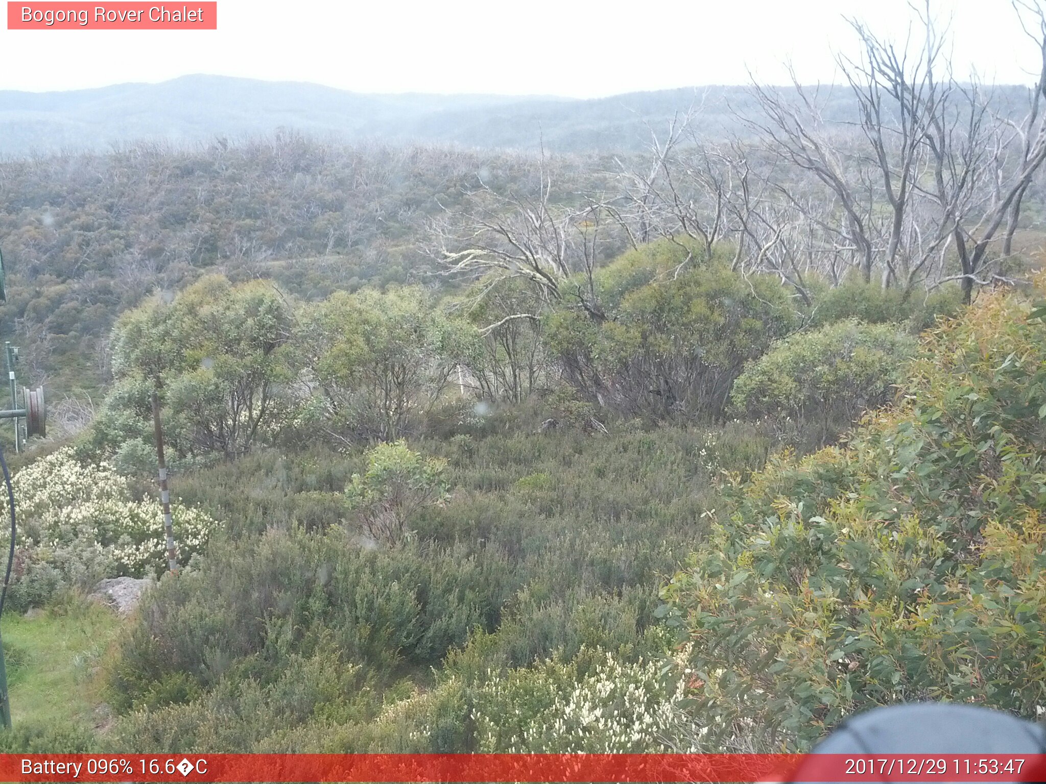 Bogong Web Cam 11:53am Friday 29th of December 2017