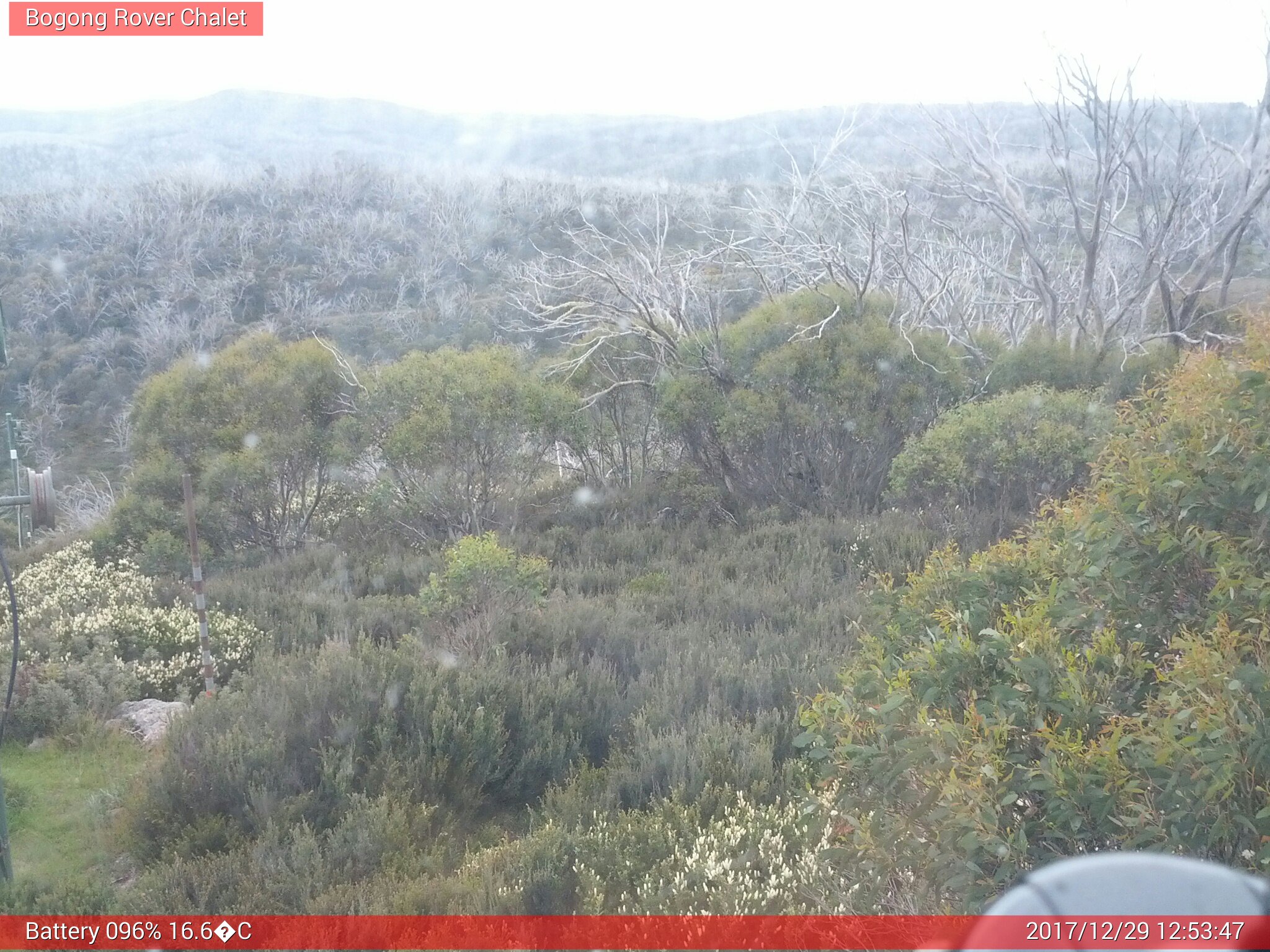 Bogong Web Cam 12:53pm Friday 29th of December 2017