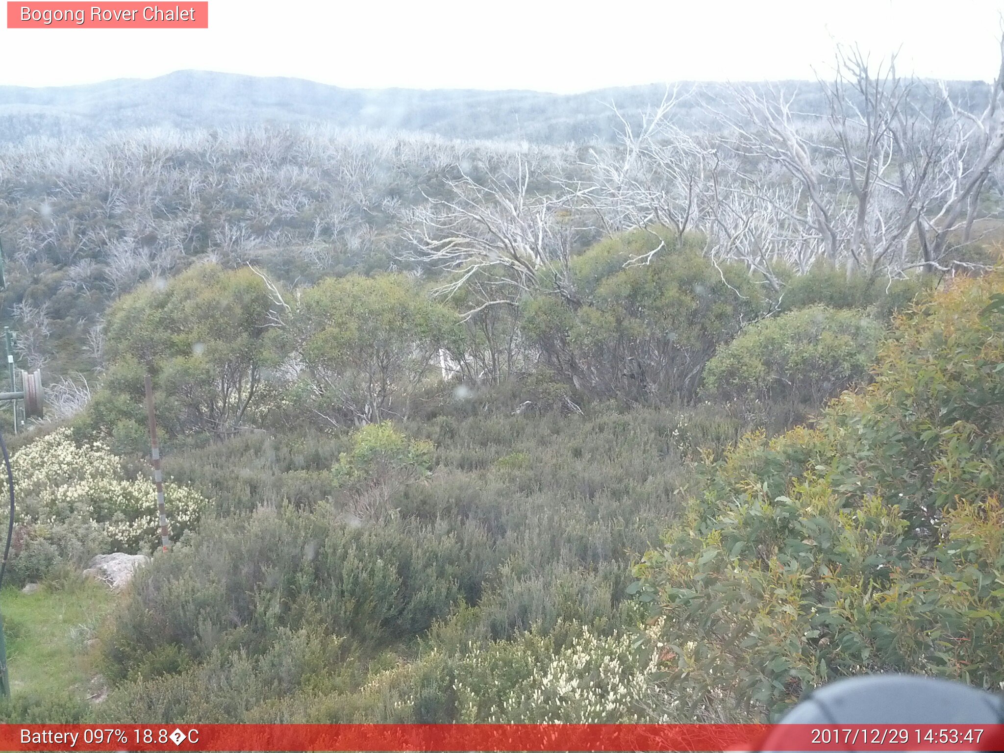 Bogong Web Cam 2:53pm Friday 29th of December 2017