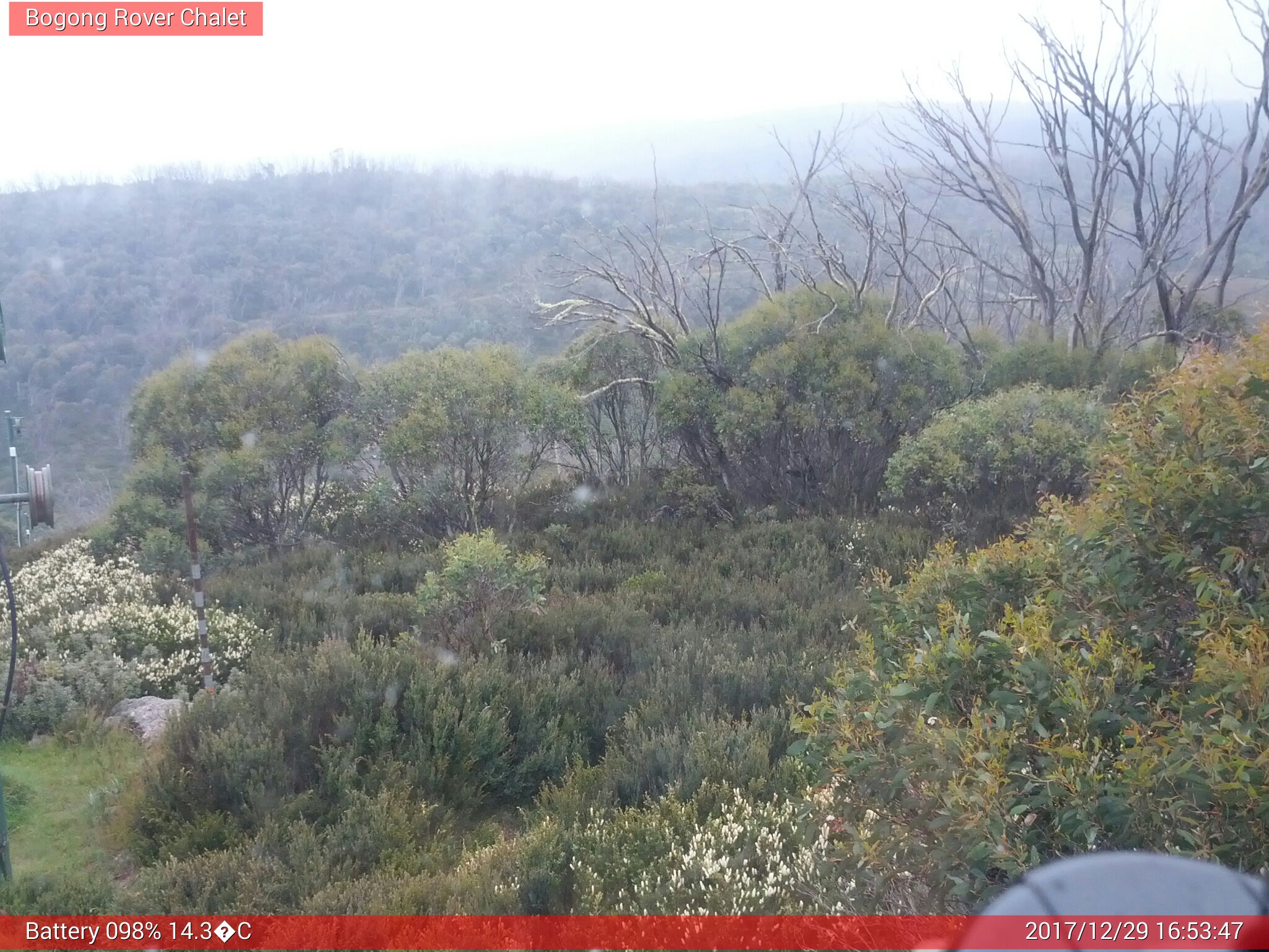 Bogong Web Cam 4:53pm Friday 29th of December 2017