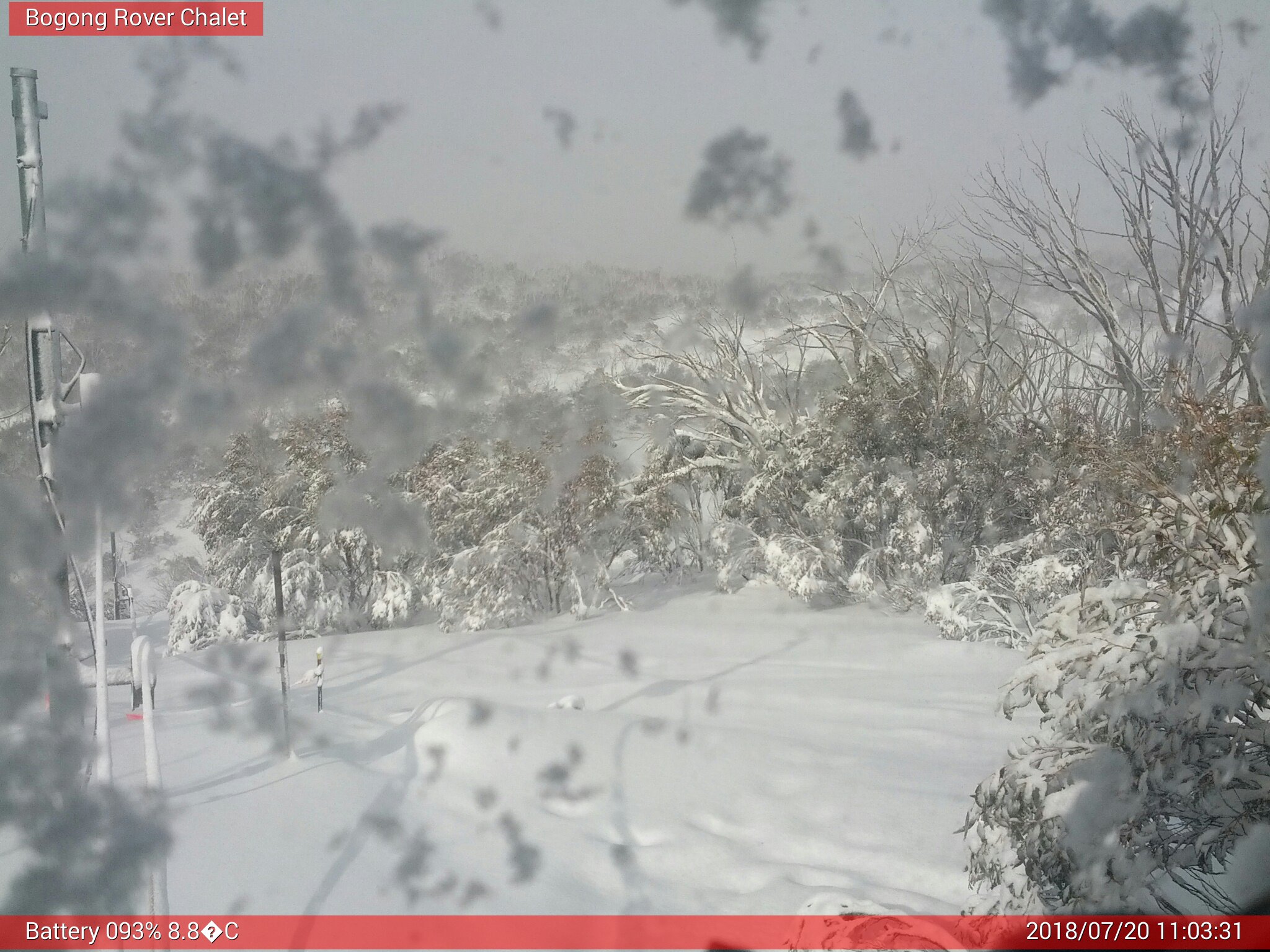 Bogong Web Cam 11:03am Friday 20th of July 2018