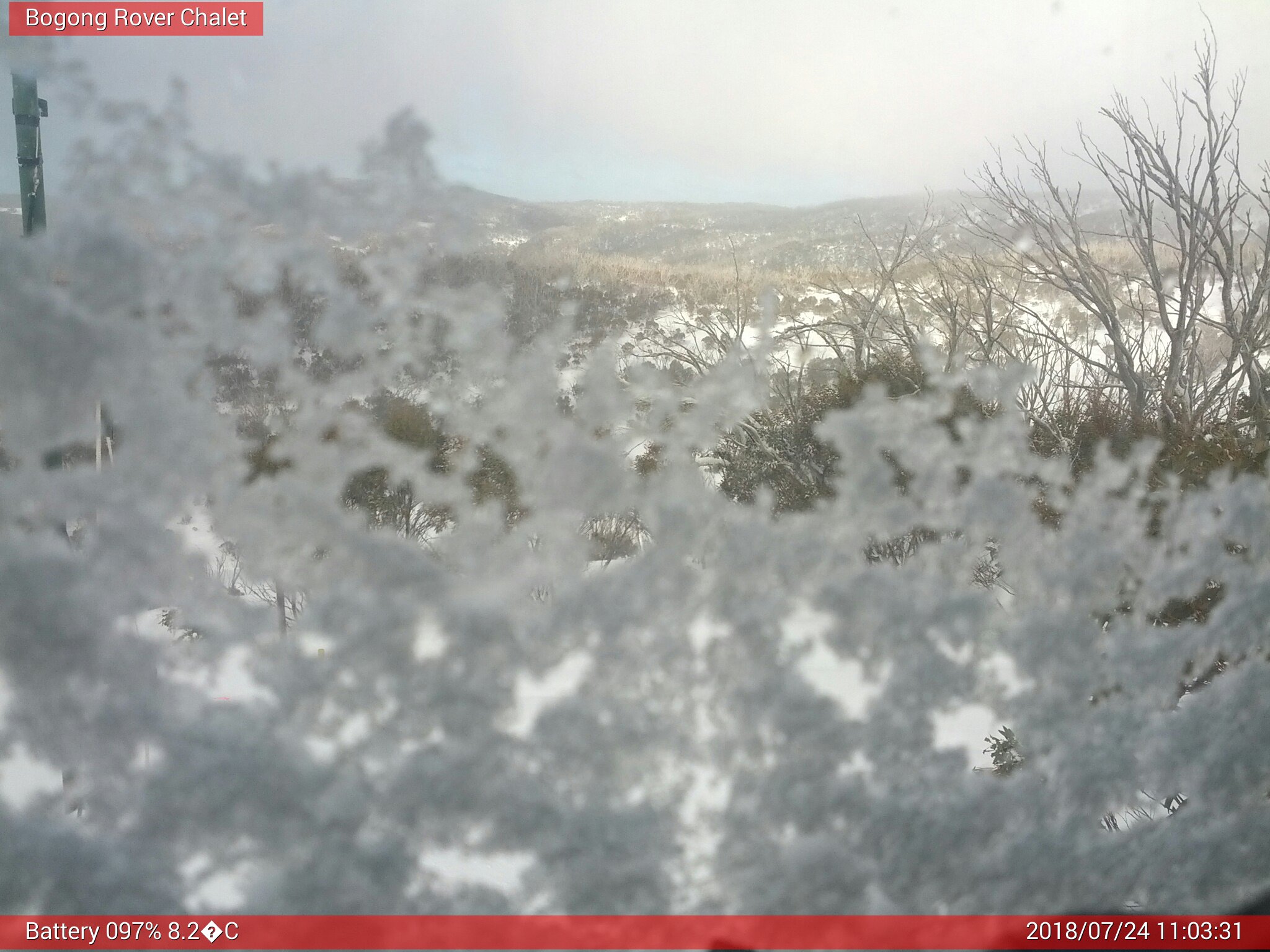 Bogong Web Cam 11:03am Tuesday 24th of July 2018