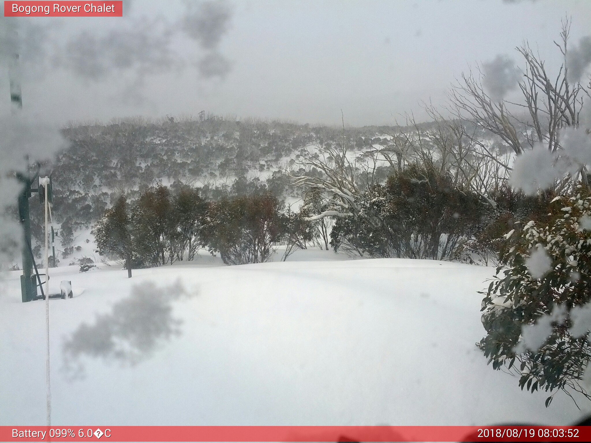 Bogong Web Cam 8:03am Sunday 19th of August 2018