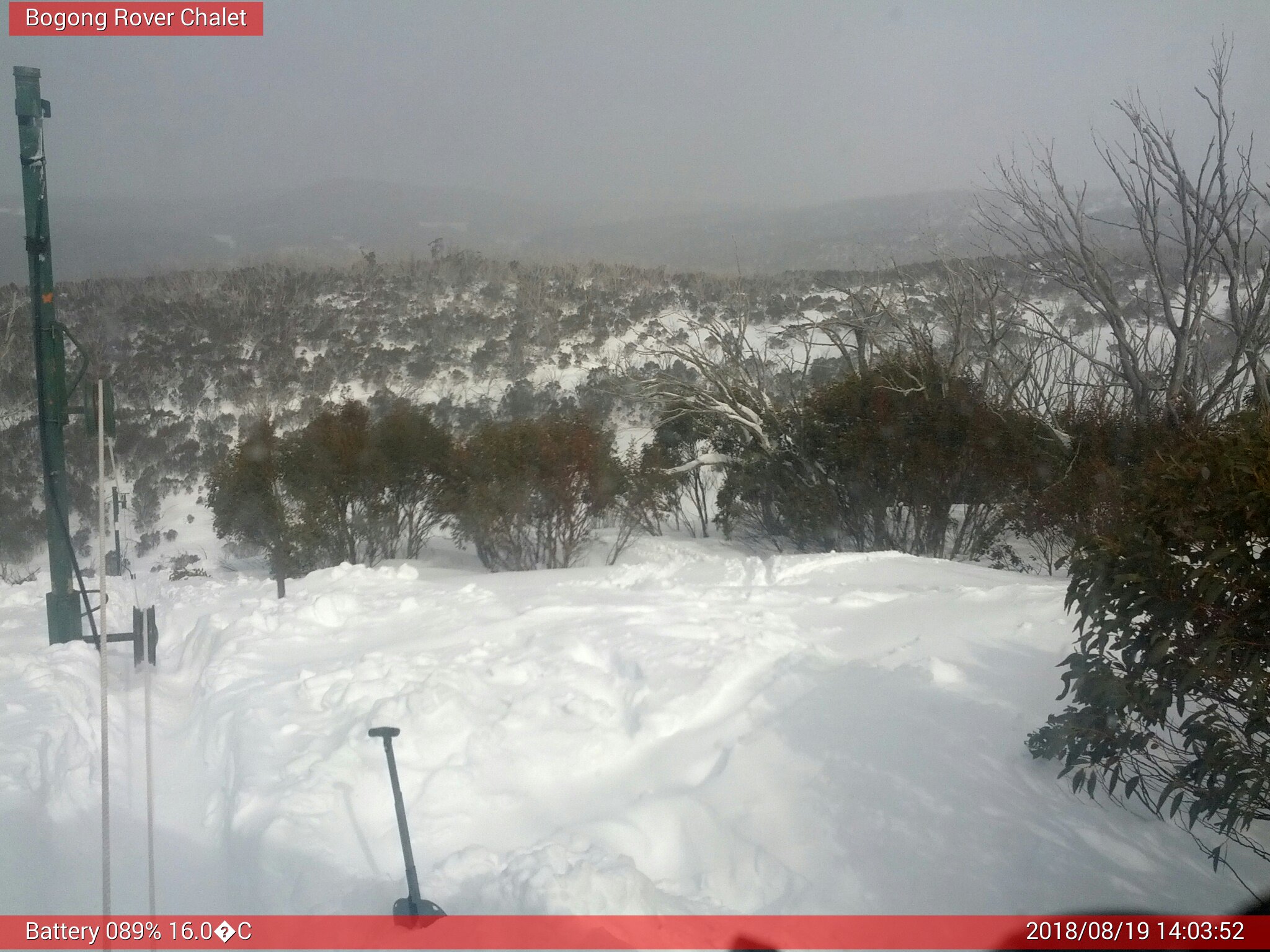 Bogong Web Cam 2:03pm Sunday 19th of August 2018