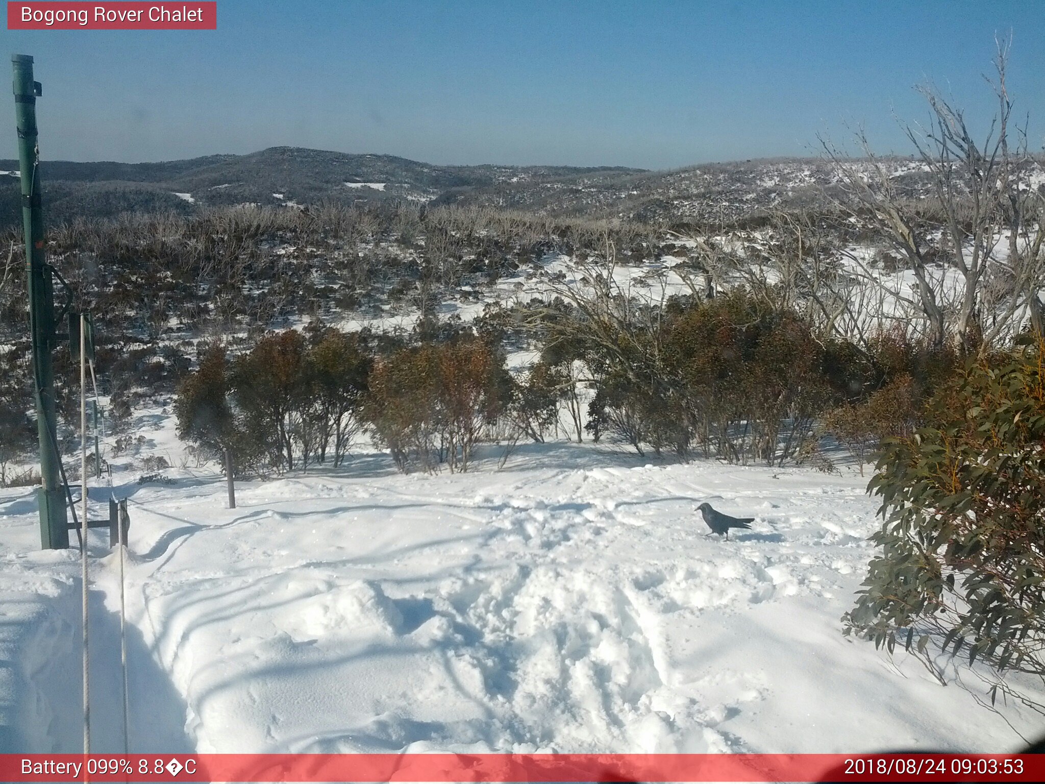 Bogong Web Cam 9:03am Friday 24th of August 2018