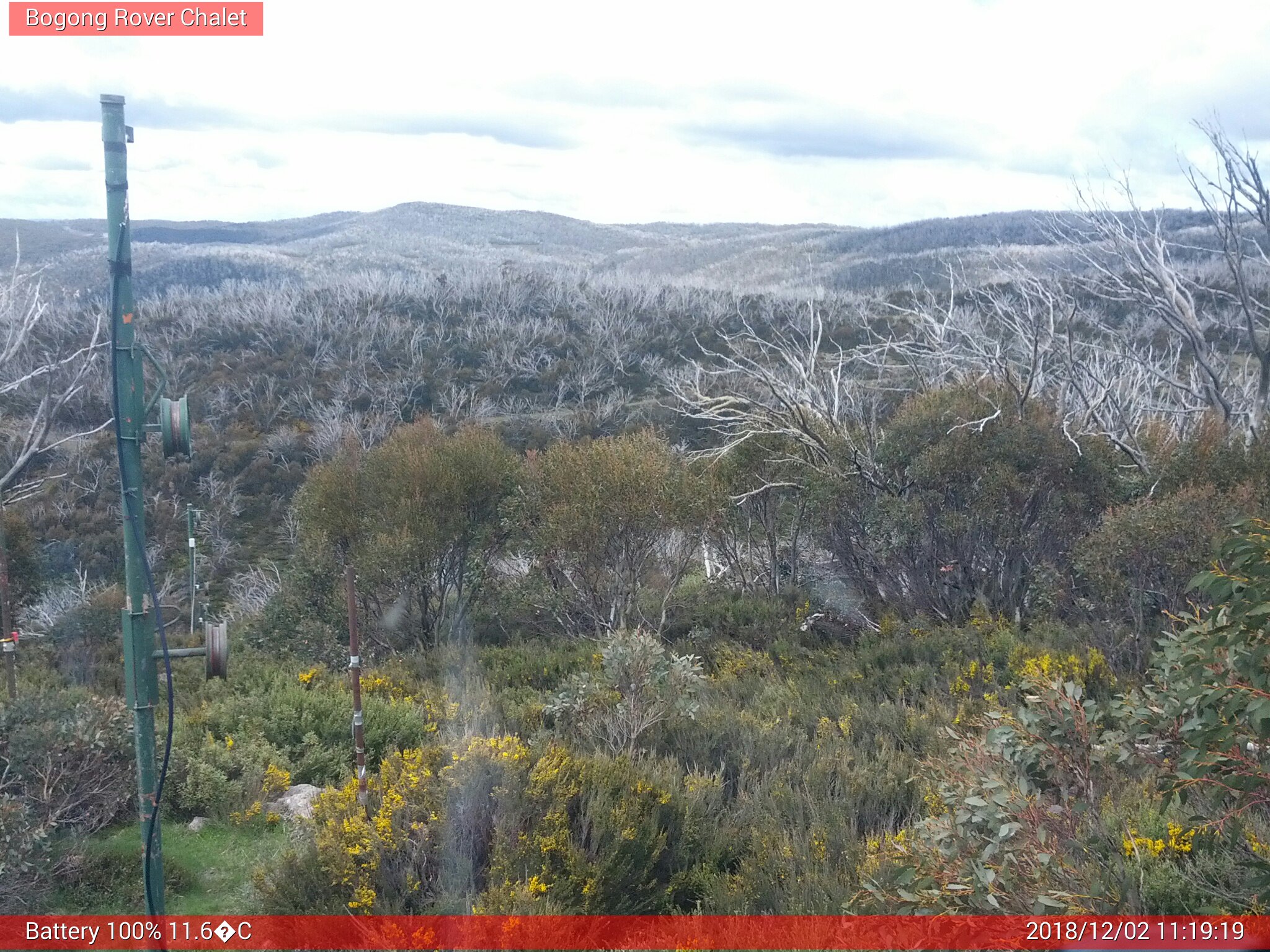 Bogong Web Cam 11:19am Sunday 2nd of December 2018