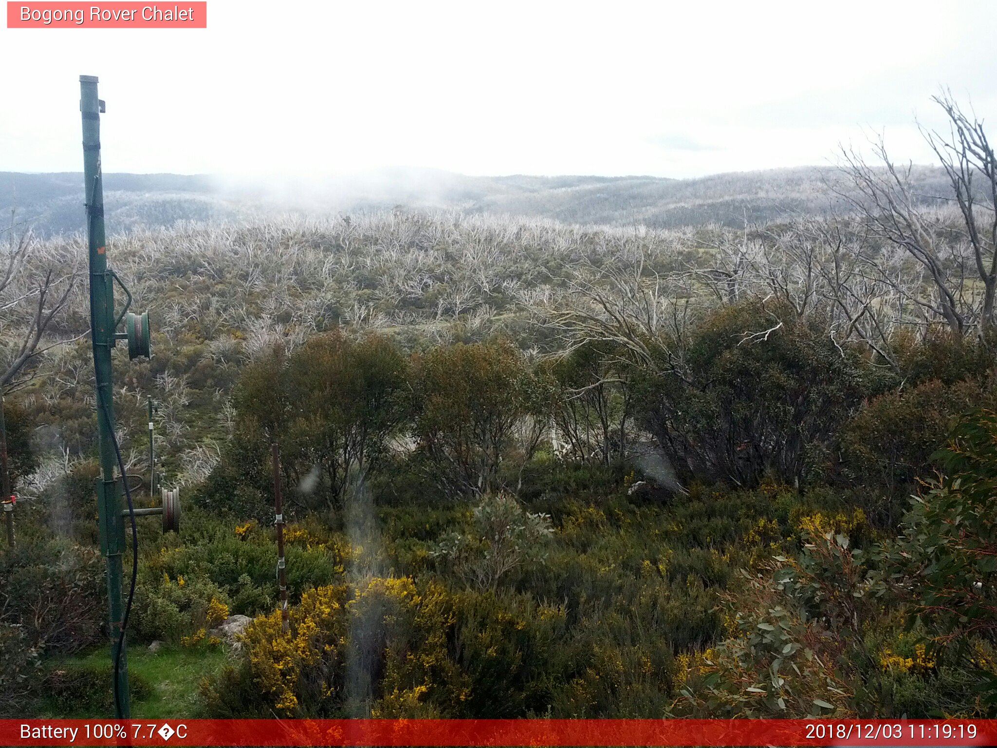 Bogong Web Cam 11:19am Monday 3rd of December 2018