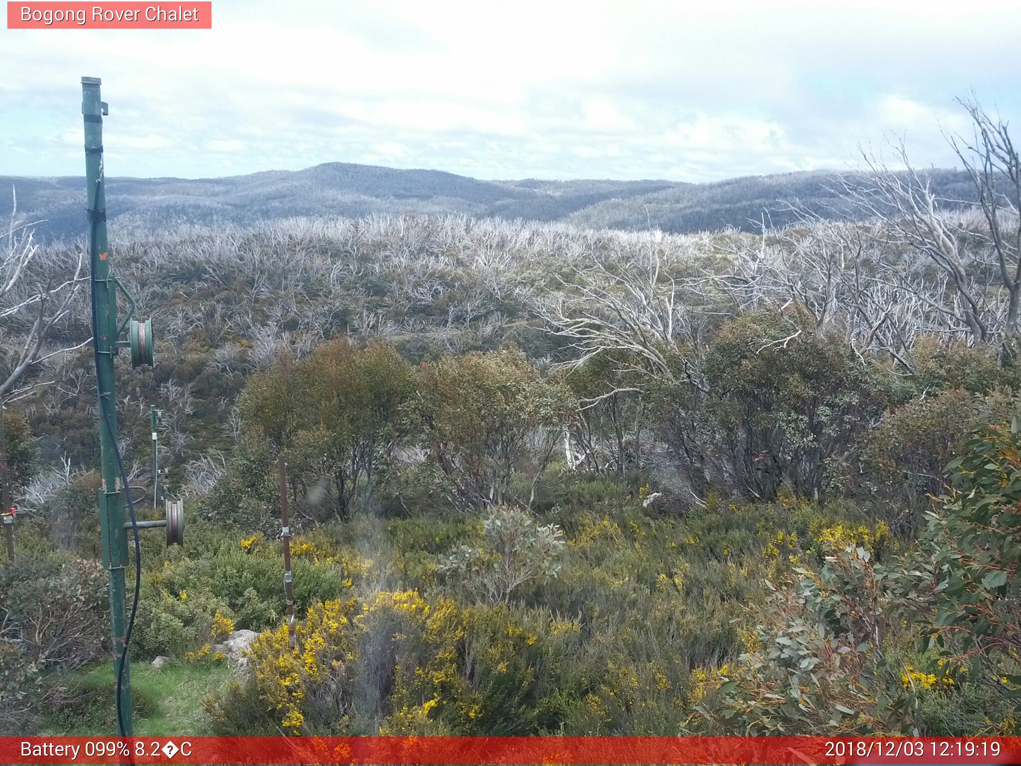 Bogong Web Cam 12:19pm Monday 3rd of December 2018